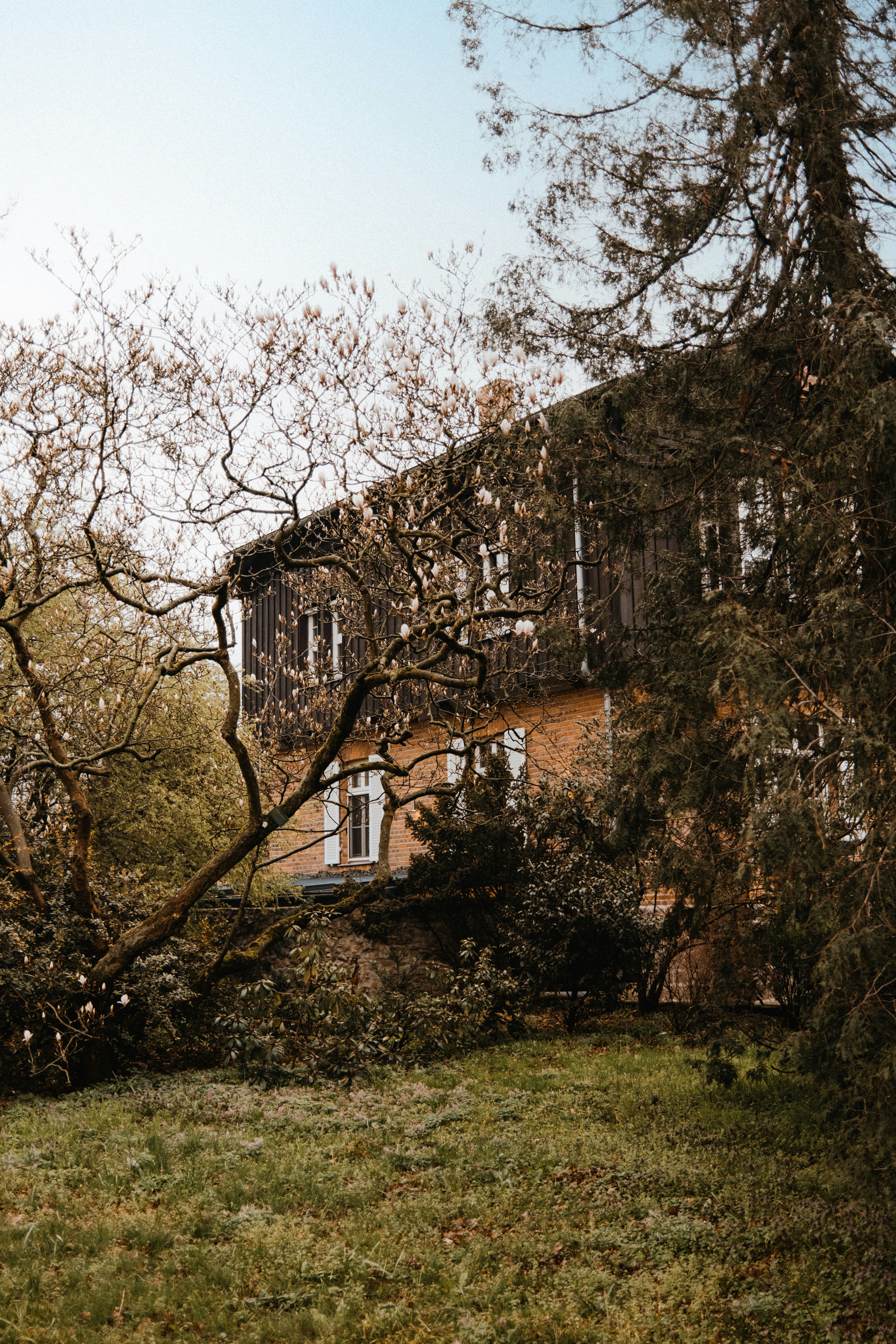 Photo by marinareich