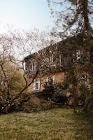 A cozy family home surrounded by lush greenery in a peaceful neighborhood.