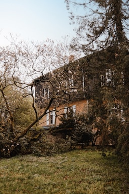 A peaceful home surrounded by greenery, symbolizing stability and comfort.