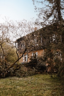 A quaint house partially obscured by lush greenery and trees. The structure features wooden elements and several windows with white frames, surrounded by a garden with an abundance of foliage. The natural setting suggests a peaceful, secluded environment.