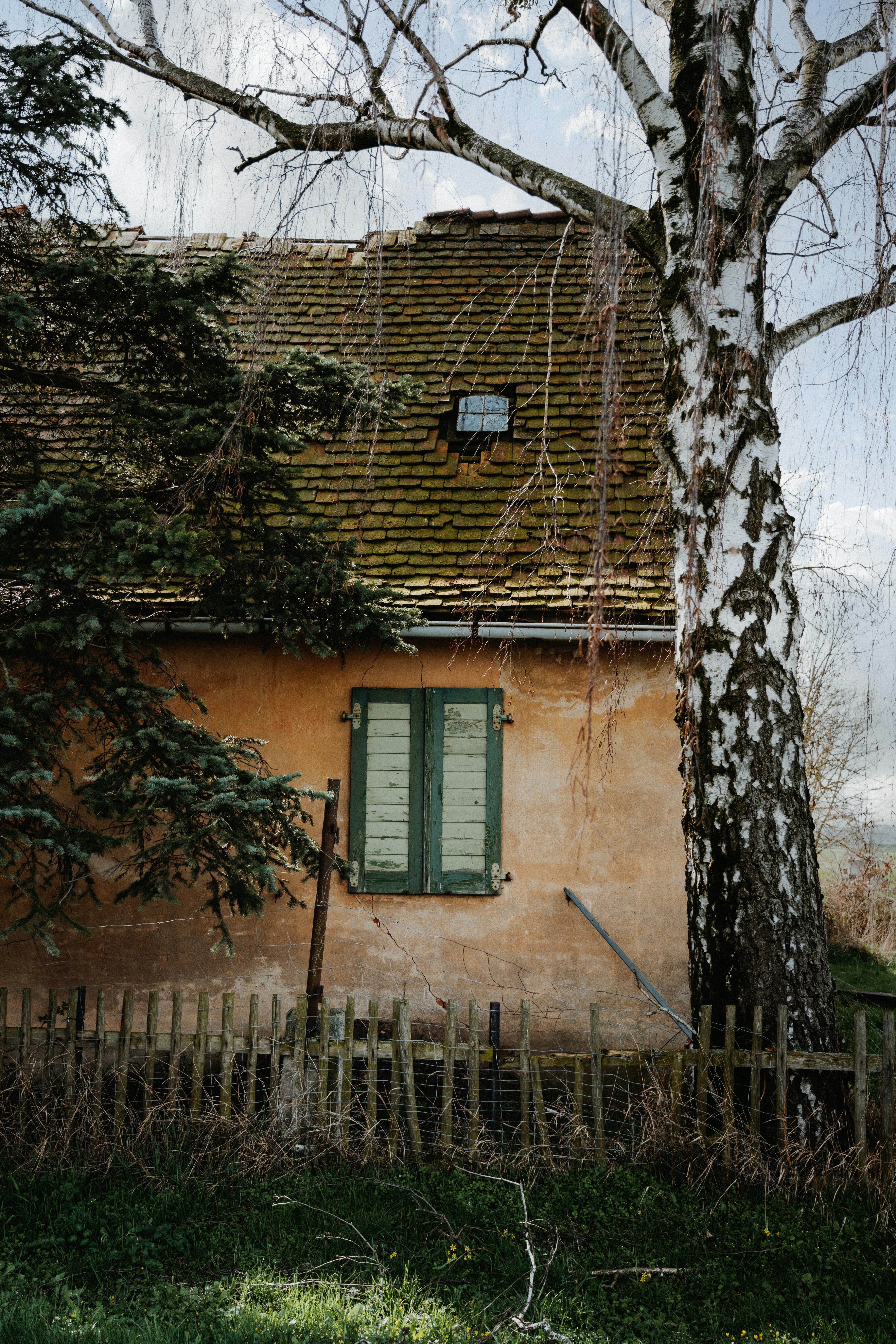 Photo by marinareich