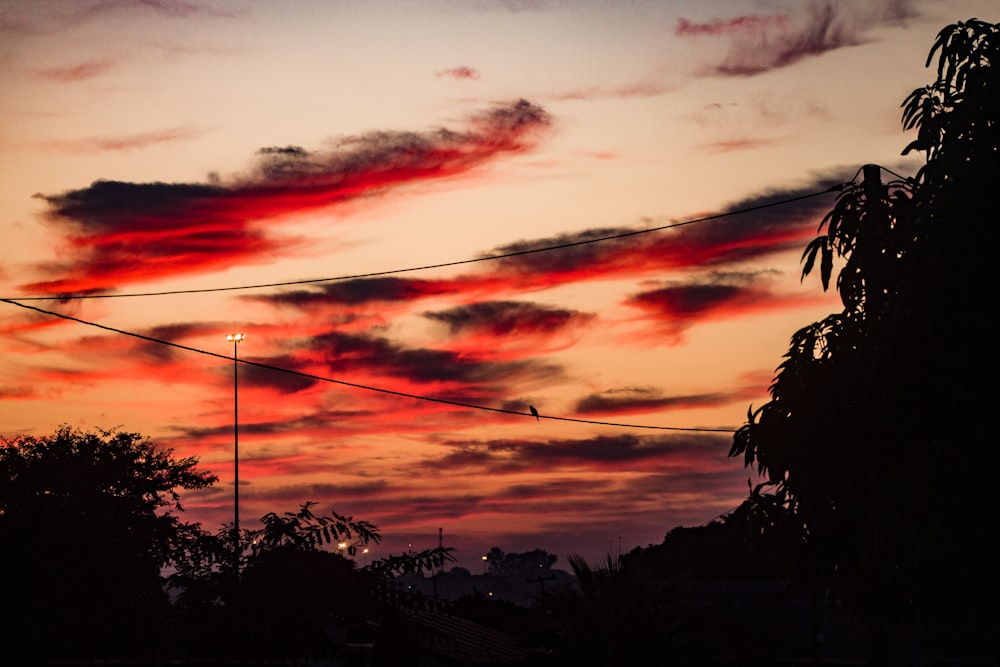 a red and pink sky with a telephone line in the foreground