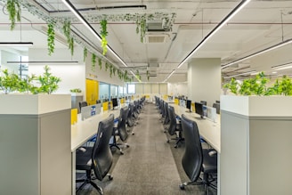 A modern office environment with a long row of workstations featuring sleek black chairs and monitors. Lush green plants are arranged on partitions and overhead, adding a refreshing touch to the otherwise minimalistic design. The ceiling lights provide sufficient illumination, highlighting the clean and organized workspace.