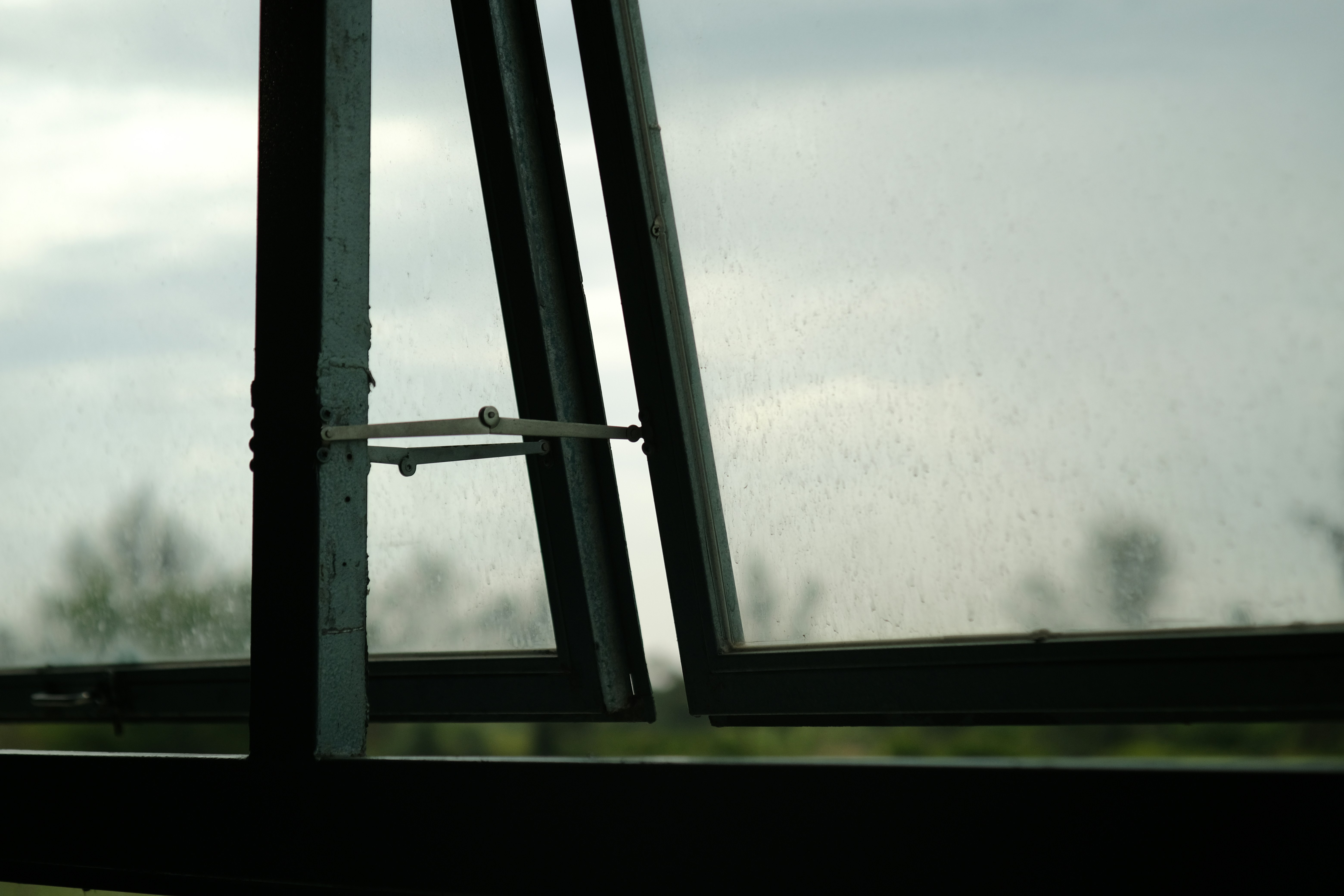 Photo by dvhoang2106