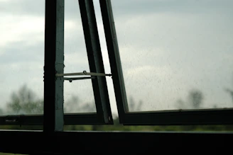 a window with a view of the sky and trees
