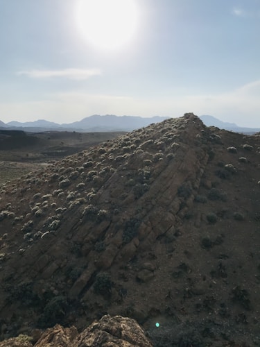 A rugged landscape featuring a rocky hill covered with sparse vegetation, set against a backdrop of distant mountains under a bright sun. The sunlight casts a harsh glow over the terrain, giving depth to the natural formations.