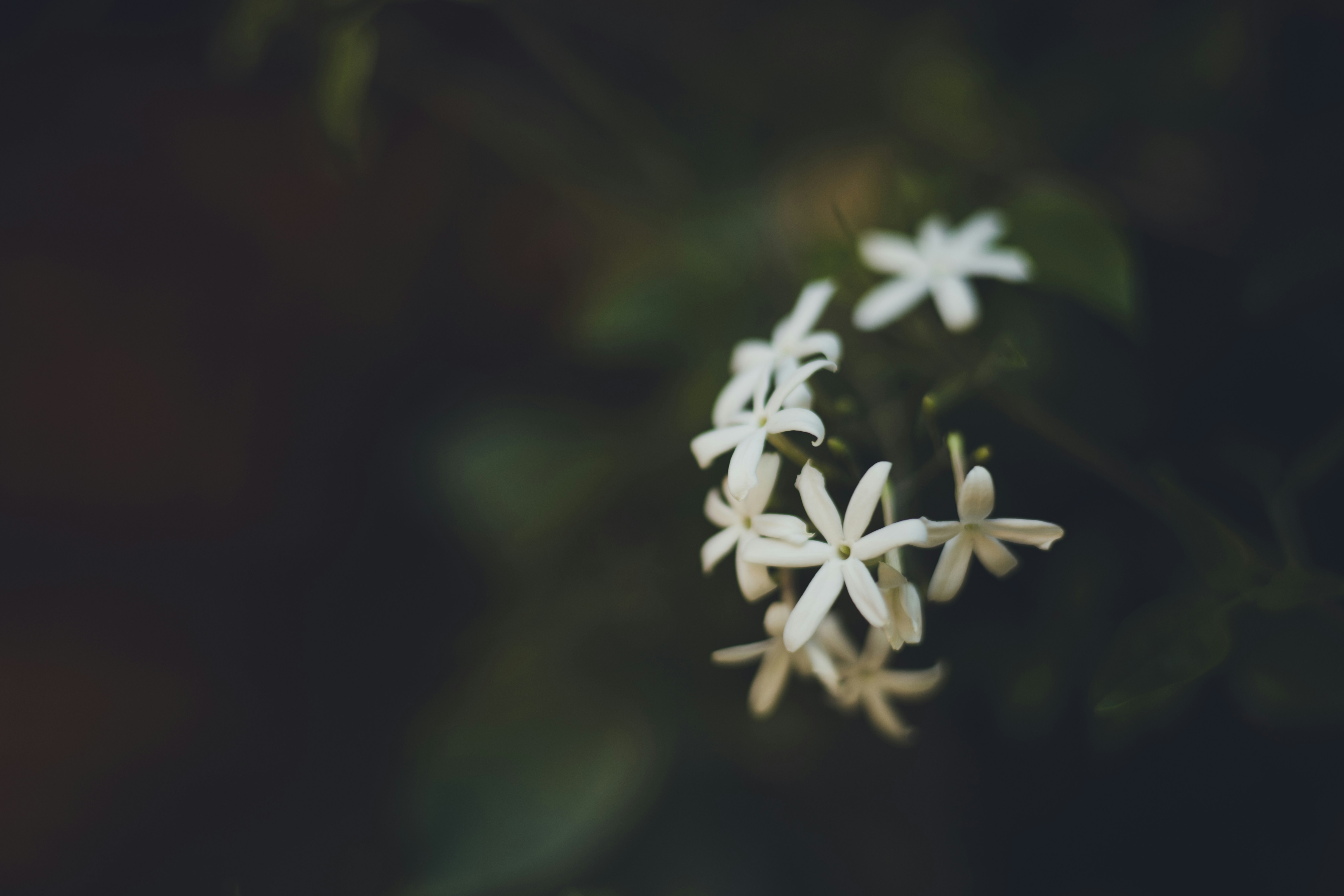 Photo by rrodriguesim