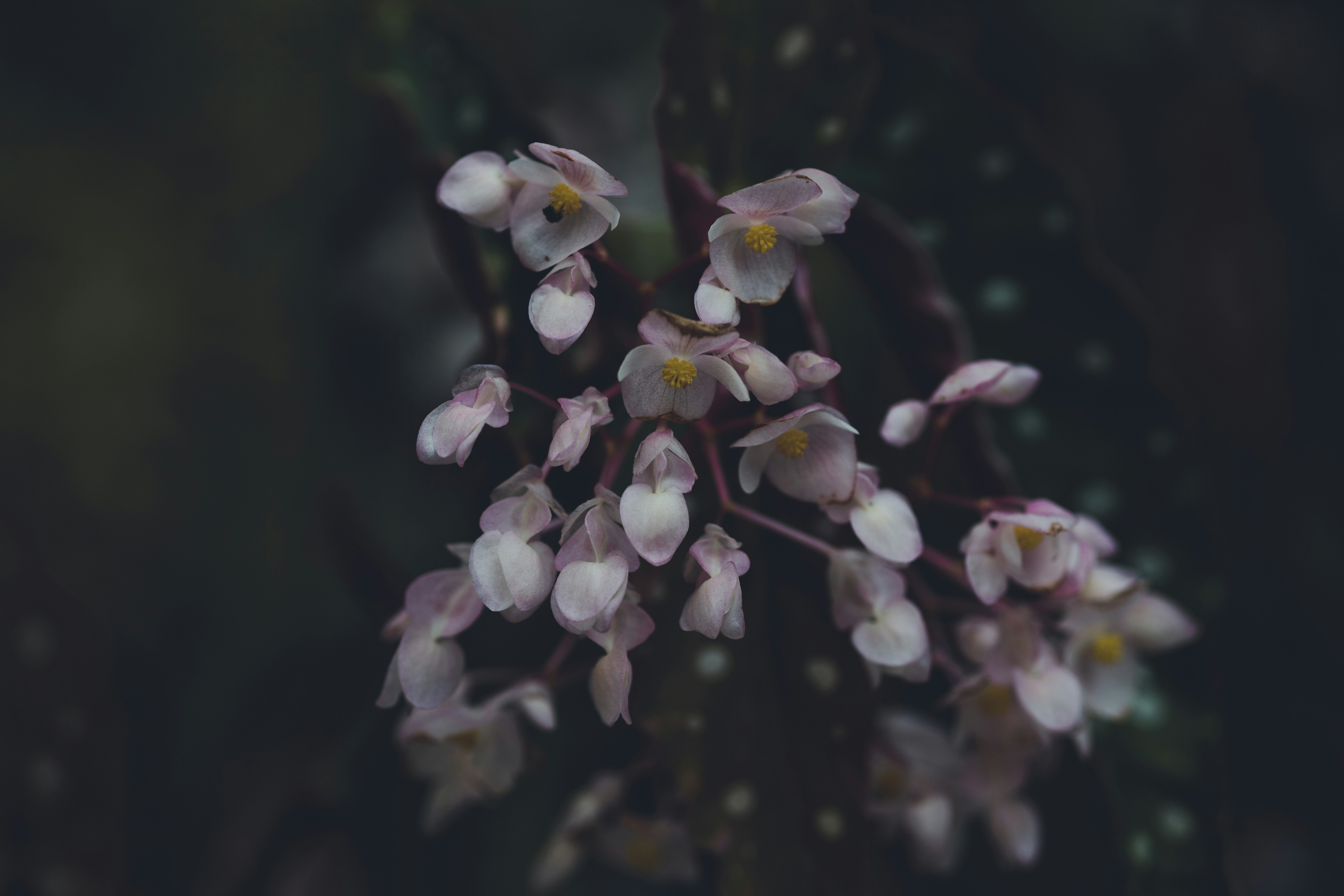 Photo by rrodriguesim