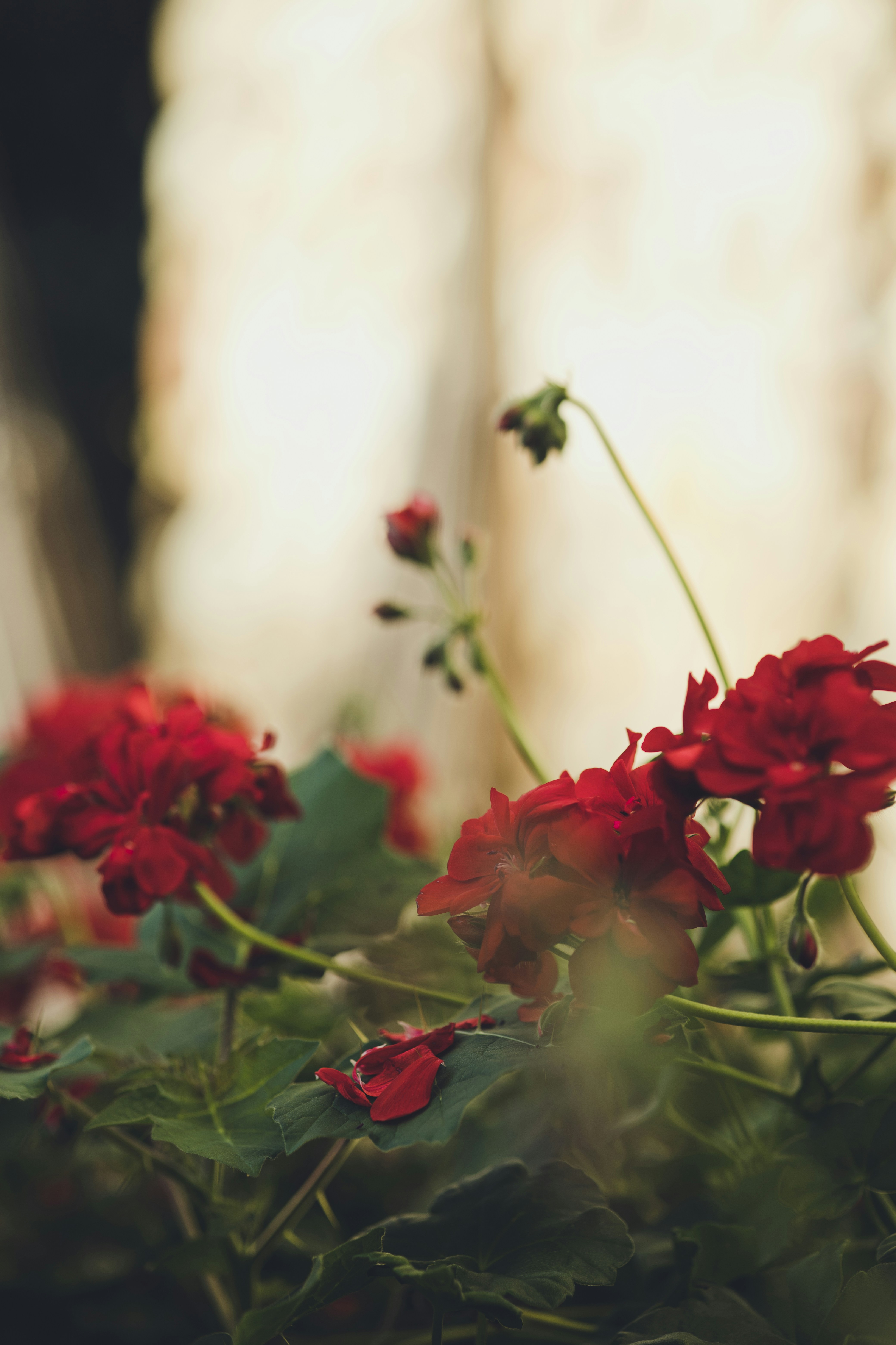 Photo by rrodriguesim