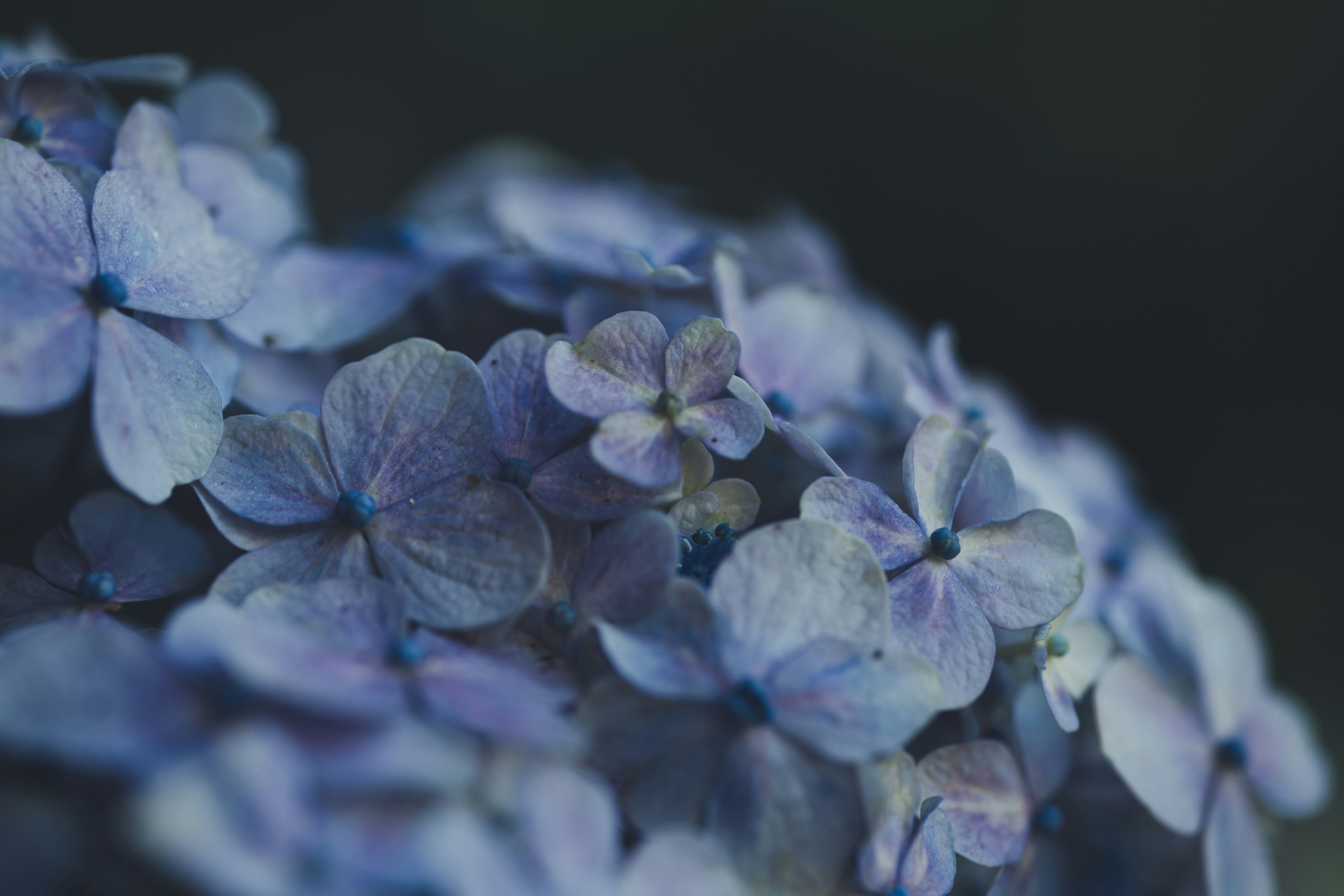 Photo by rrodriguesim