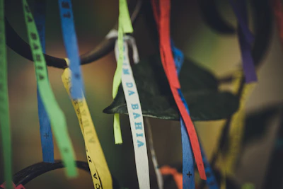 RF labels and ribbon labels showcased with precision and clarity.