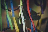 Colorful fabric ribbons hang from an object, each printed with text. The ribbons vary in color, including shades of blue, yellow, white, green, red, and purple. Some appear slightly blurred, while others are in focus against a soft, muted background.