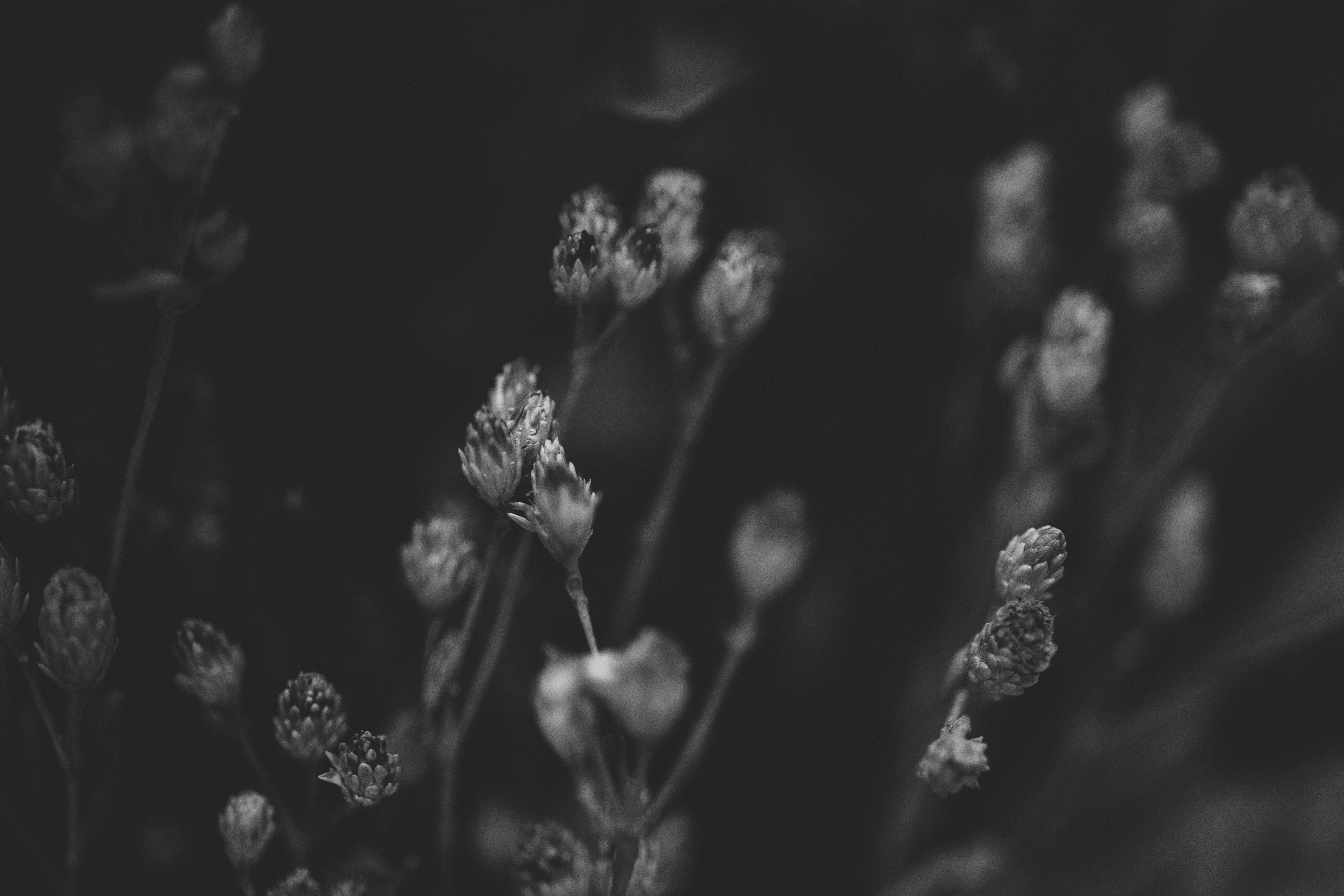 Photo by rrodriguesim