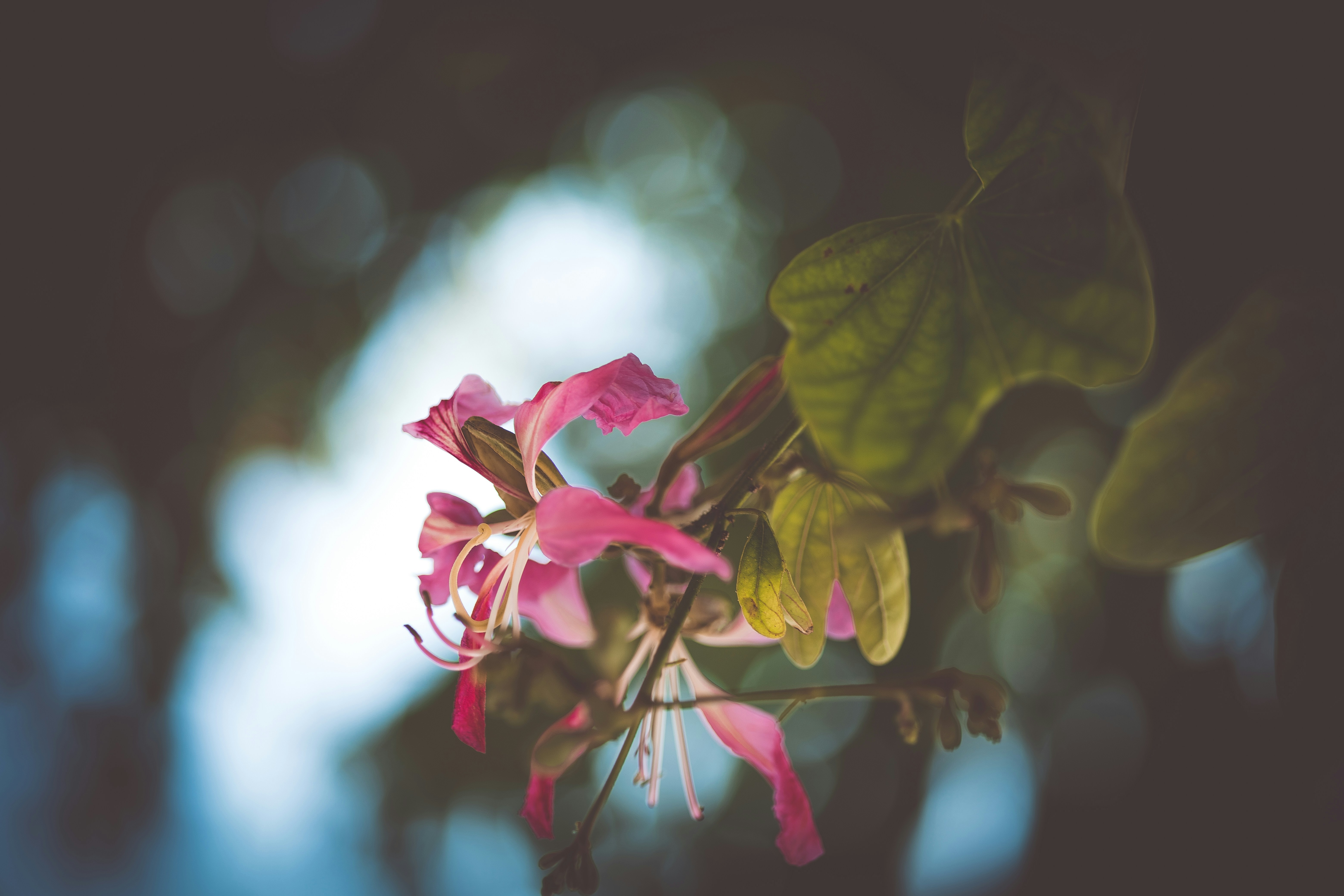 Photo by rrodriguesim