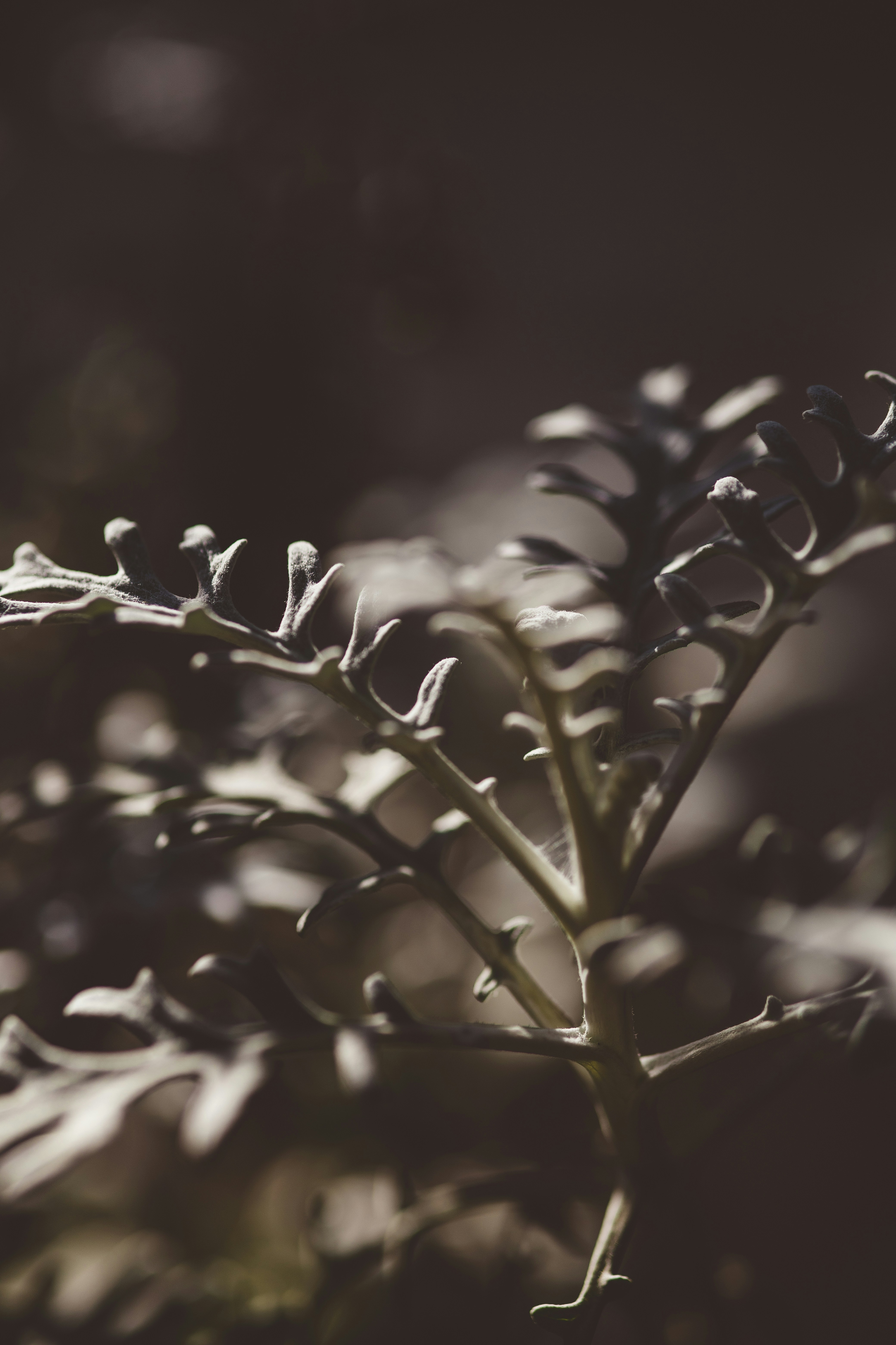 Photo by rrodriguesim