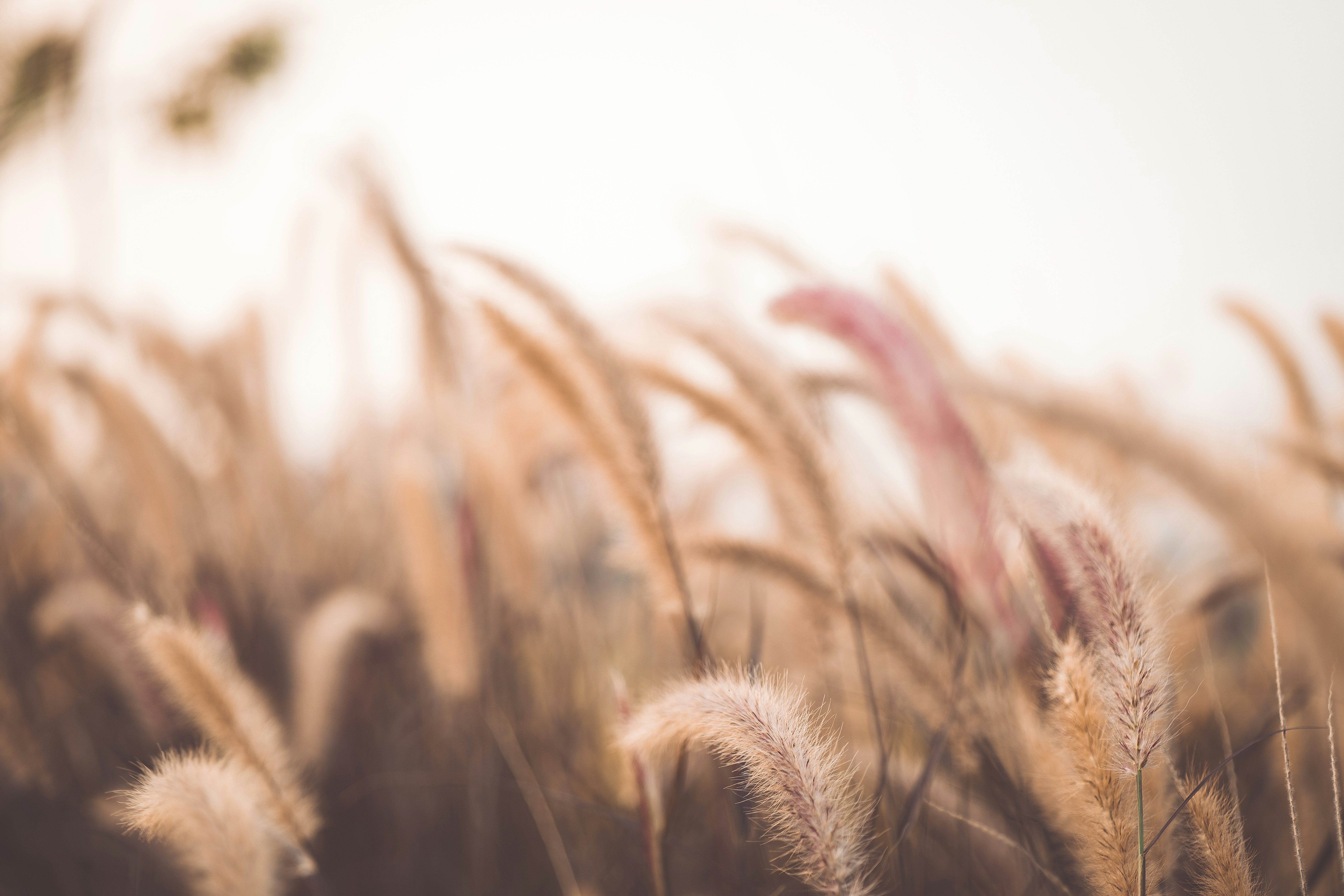 Photo by rrodriguesim