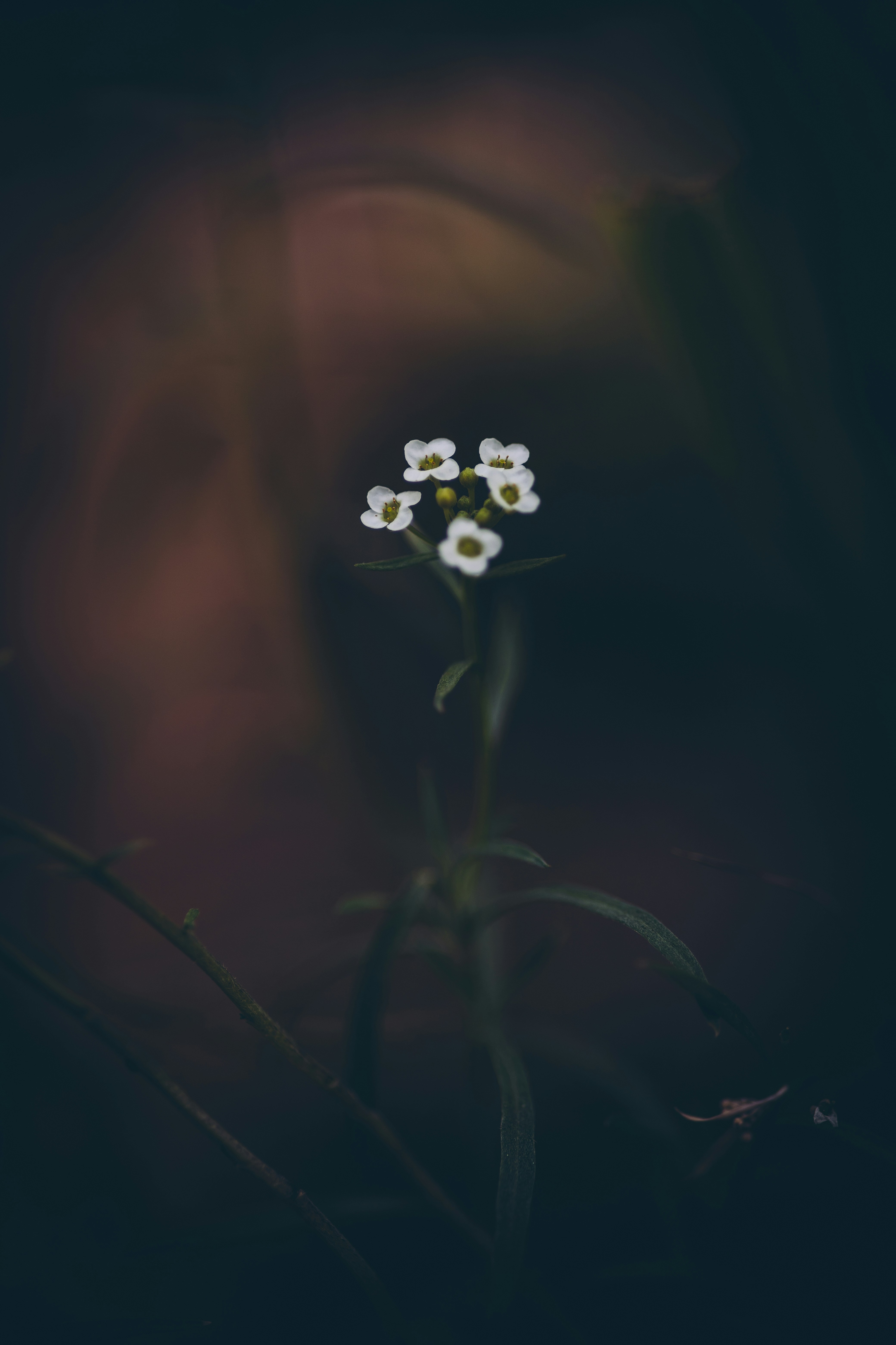 Photo by rrodriguesim