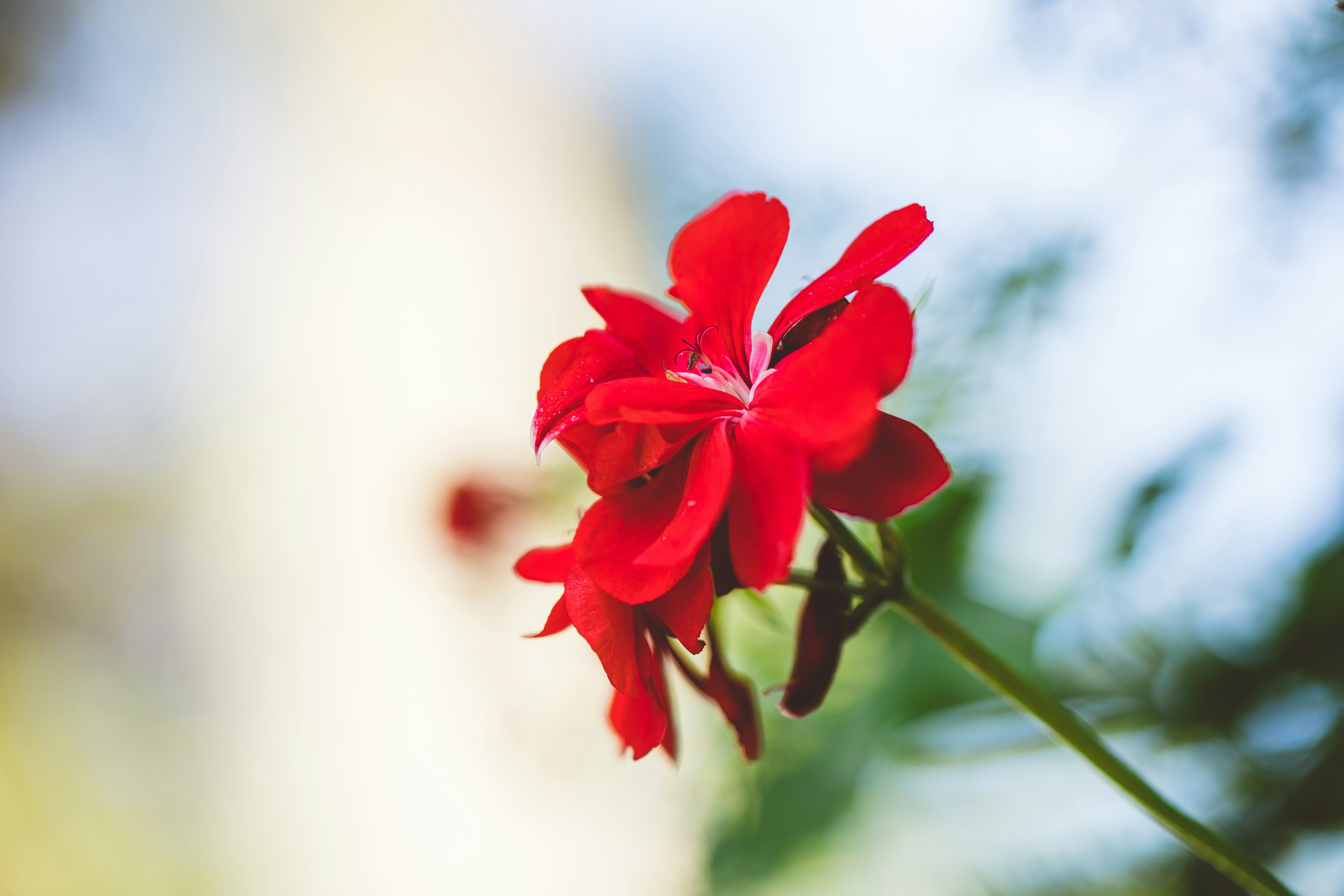 Photo by rrodriguesim