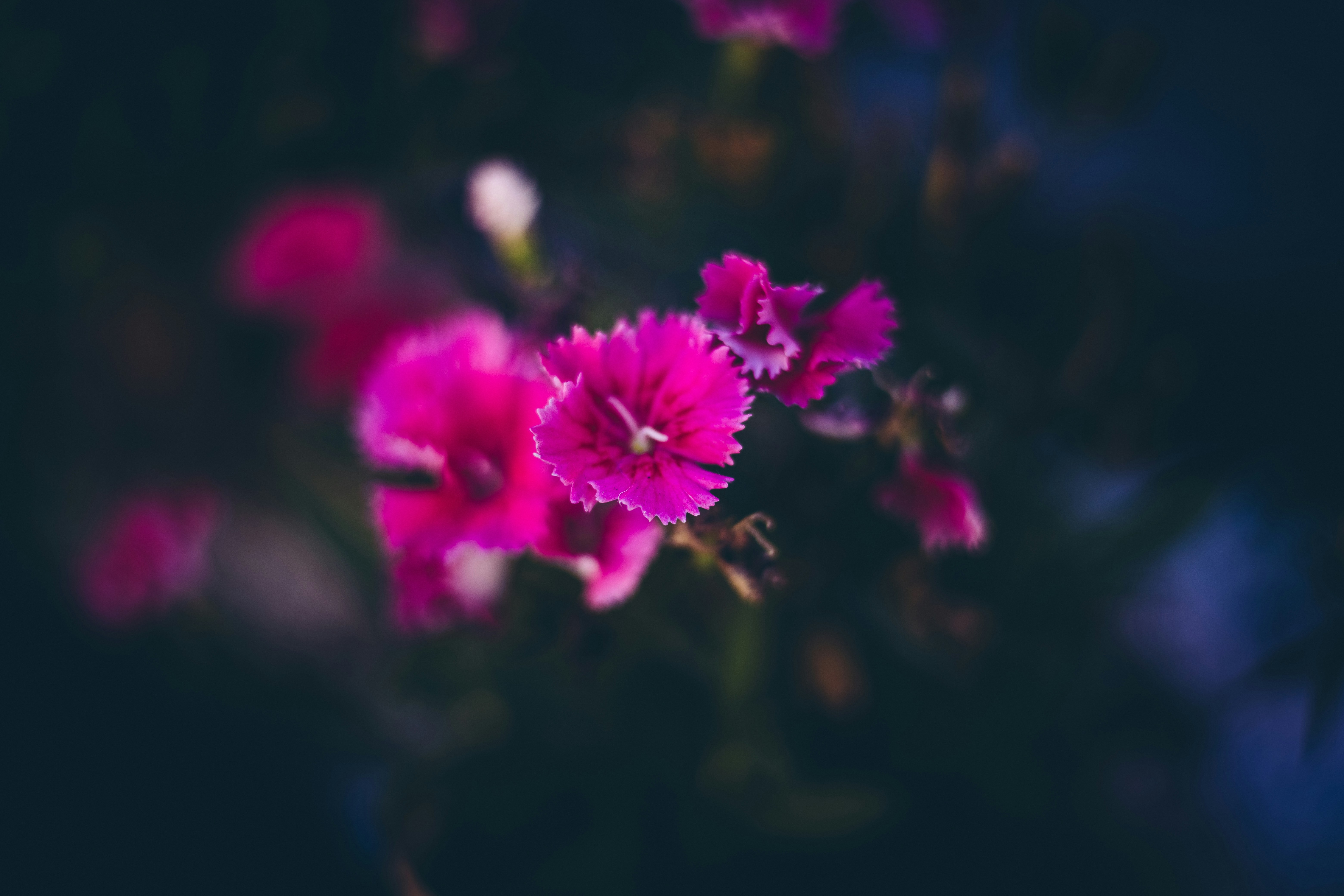 Photo by rrodriguesim