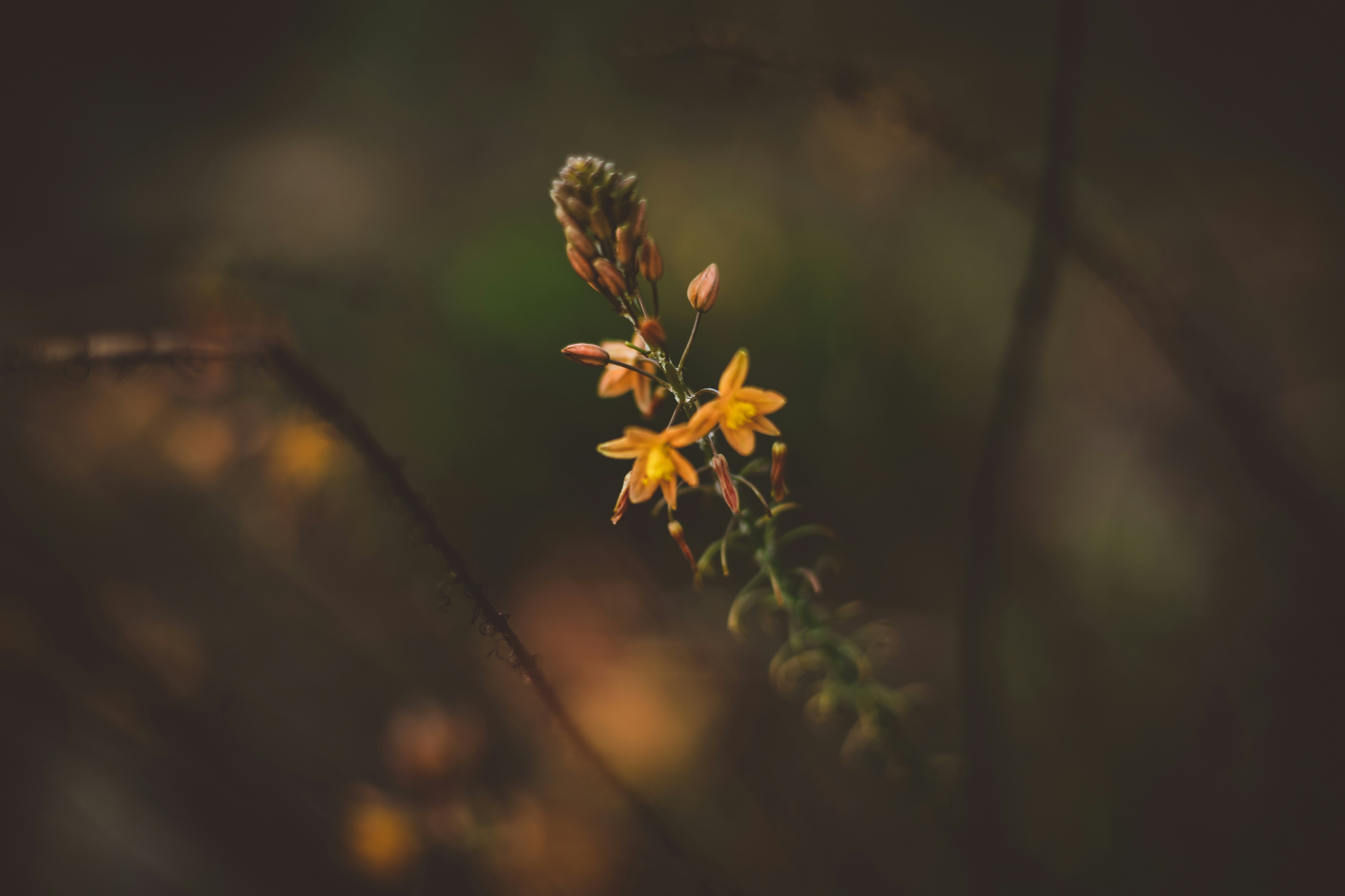 Photo by rrodriguesim