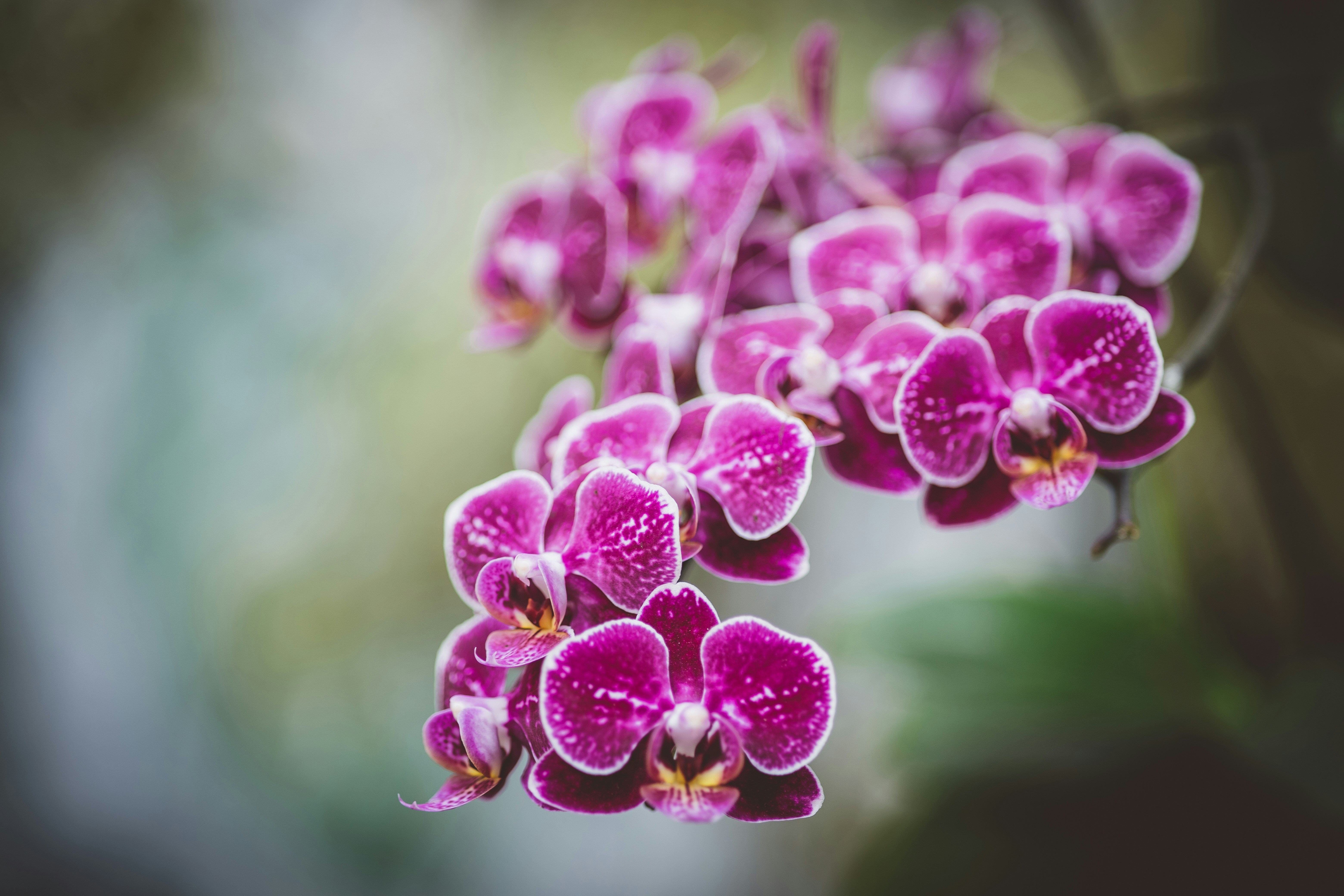 Photo by rrodriguesim