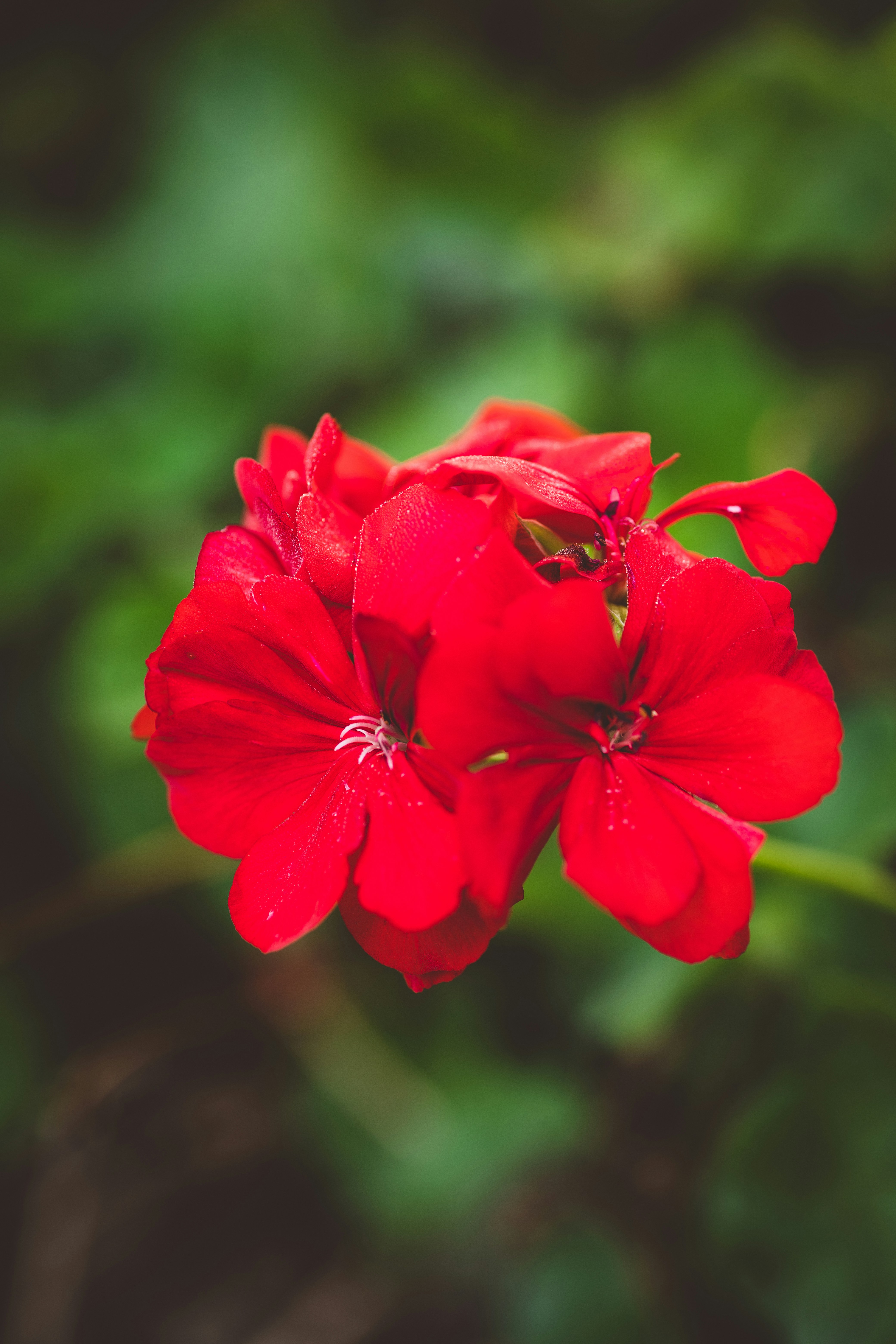 Photo by rrodriguesim