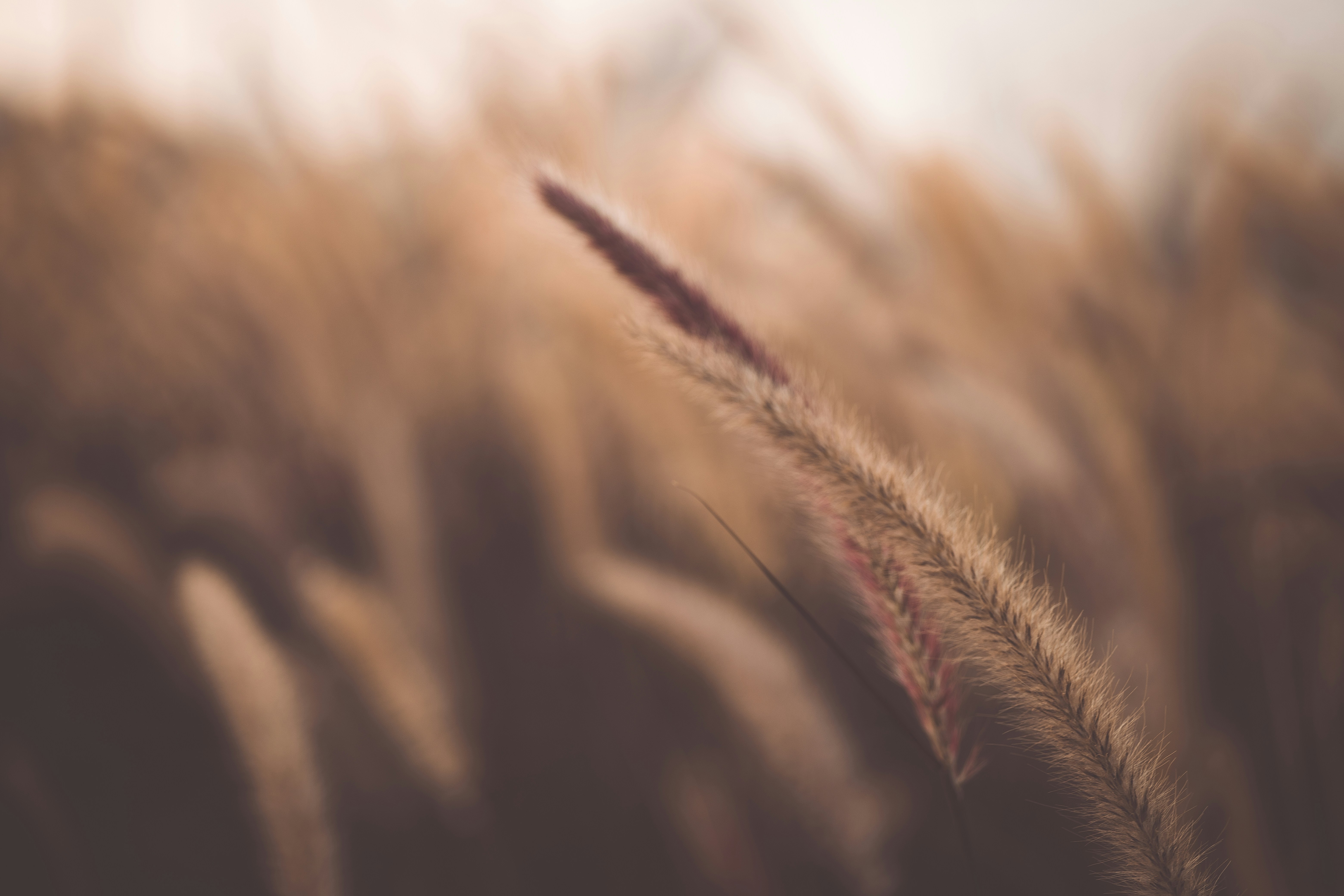 Photo by rrodriguesim