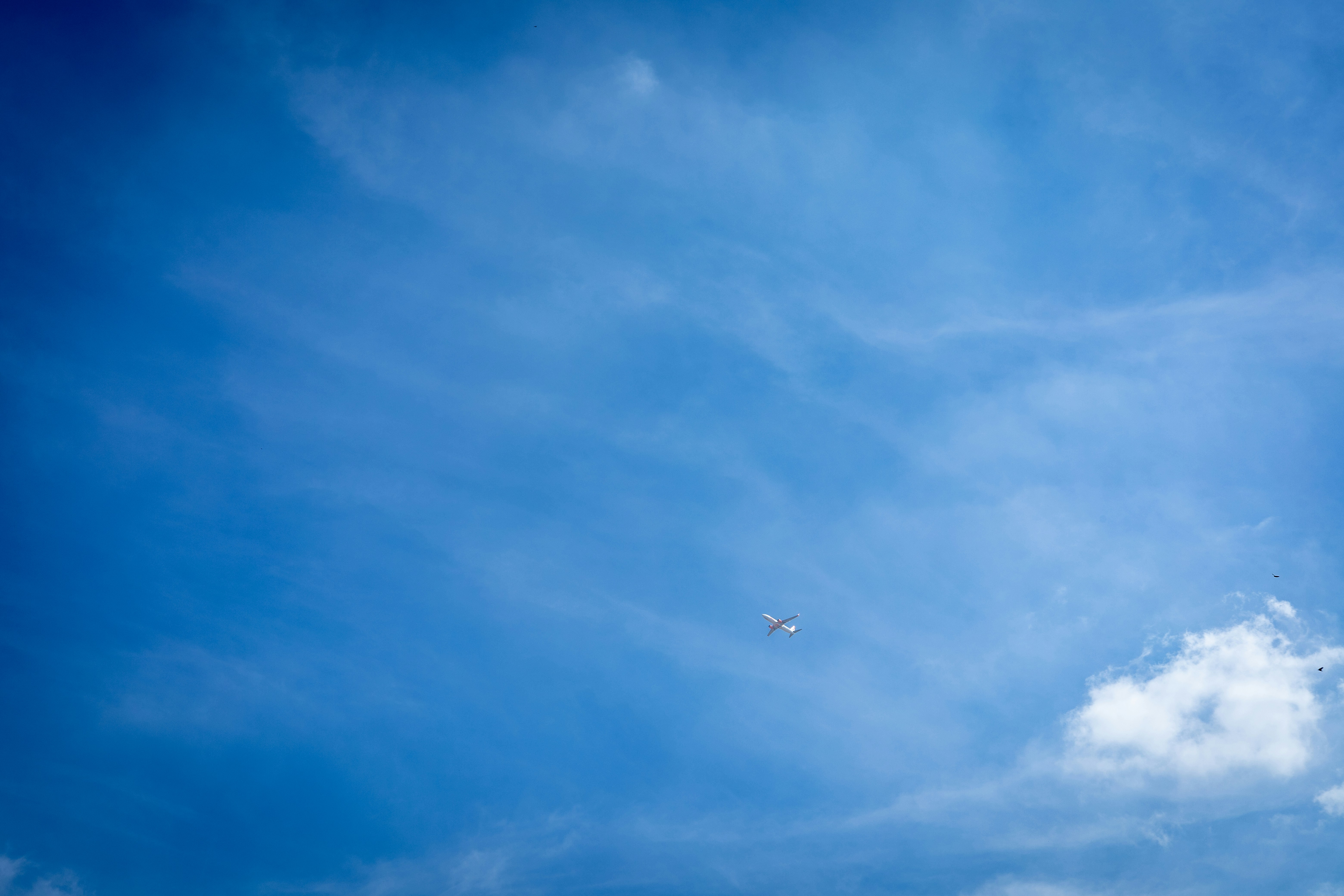 Photo by rrodriguesim