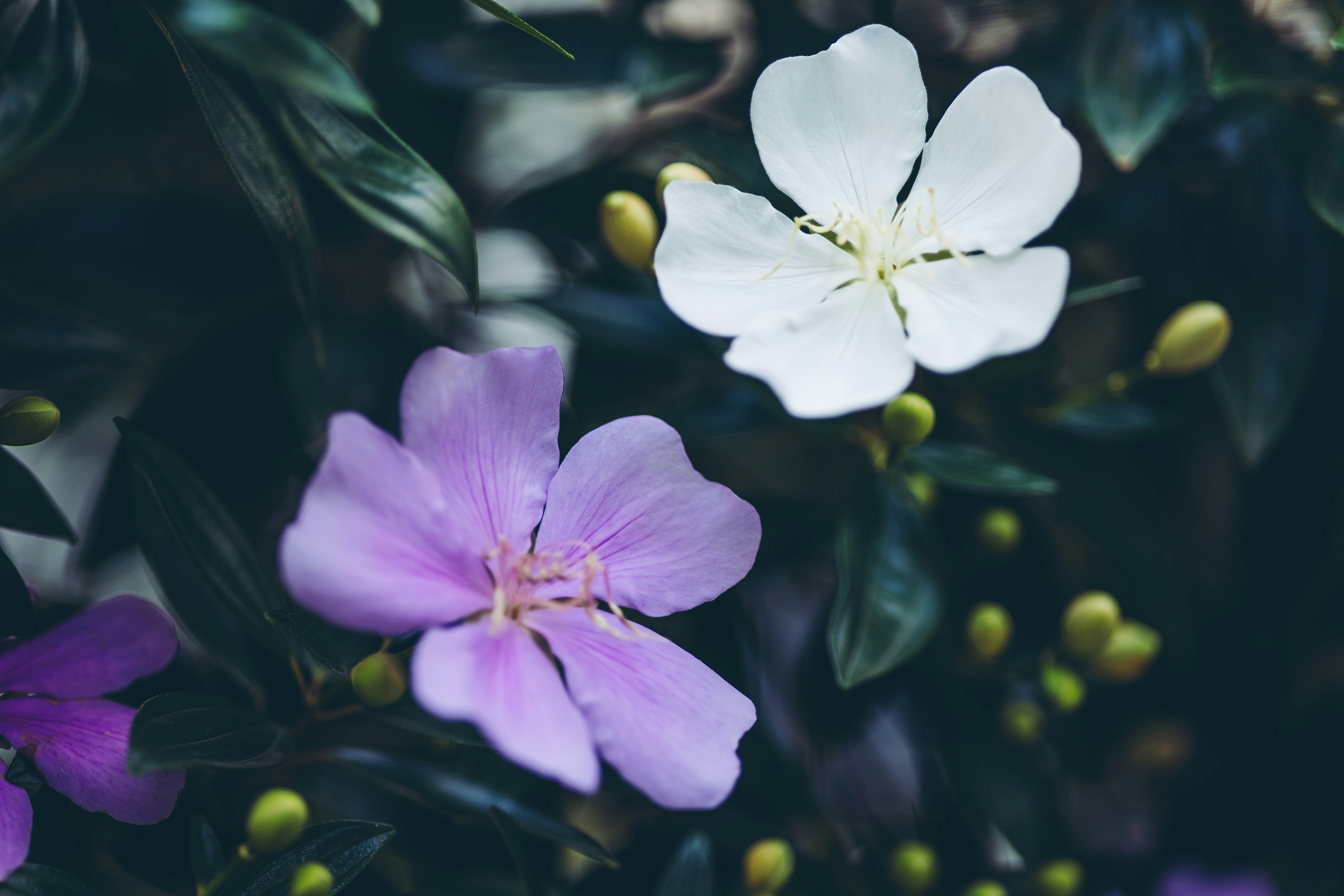 Photo by rrodriguesim