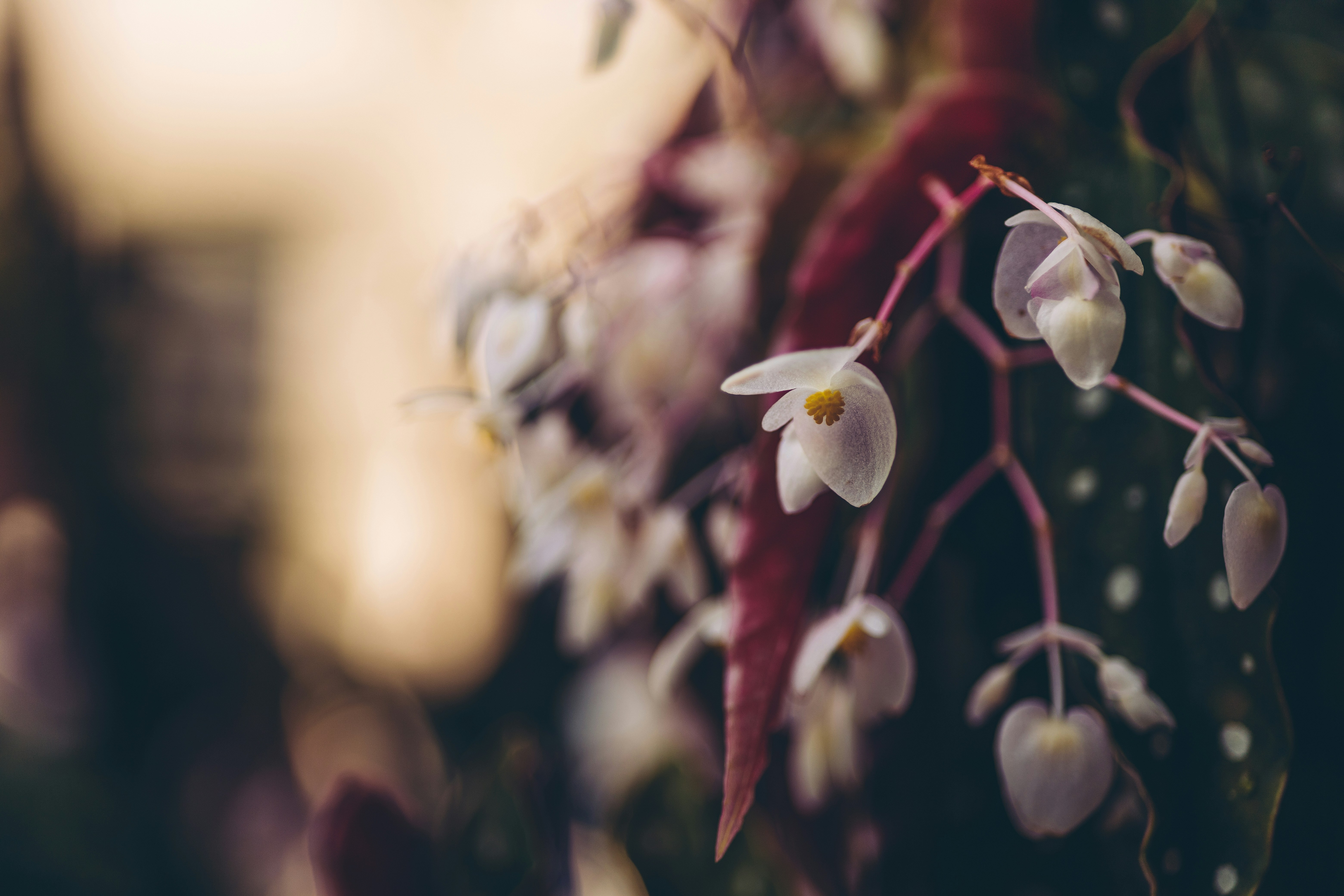 Photo by rrodriguesim