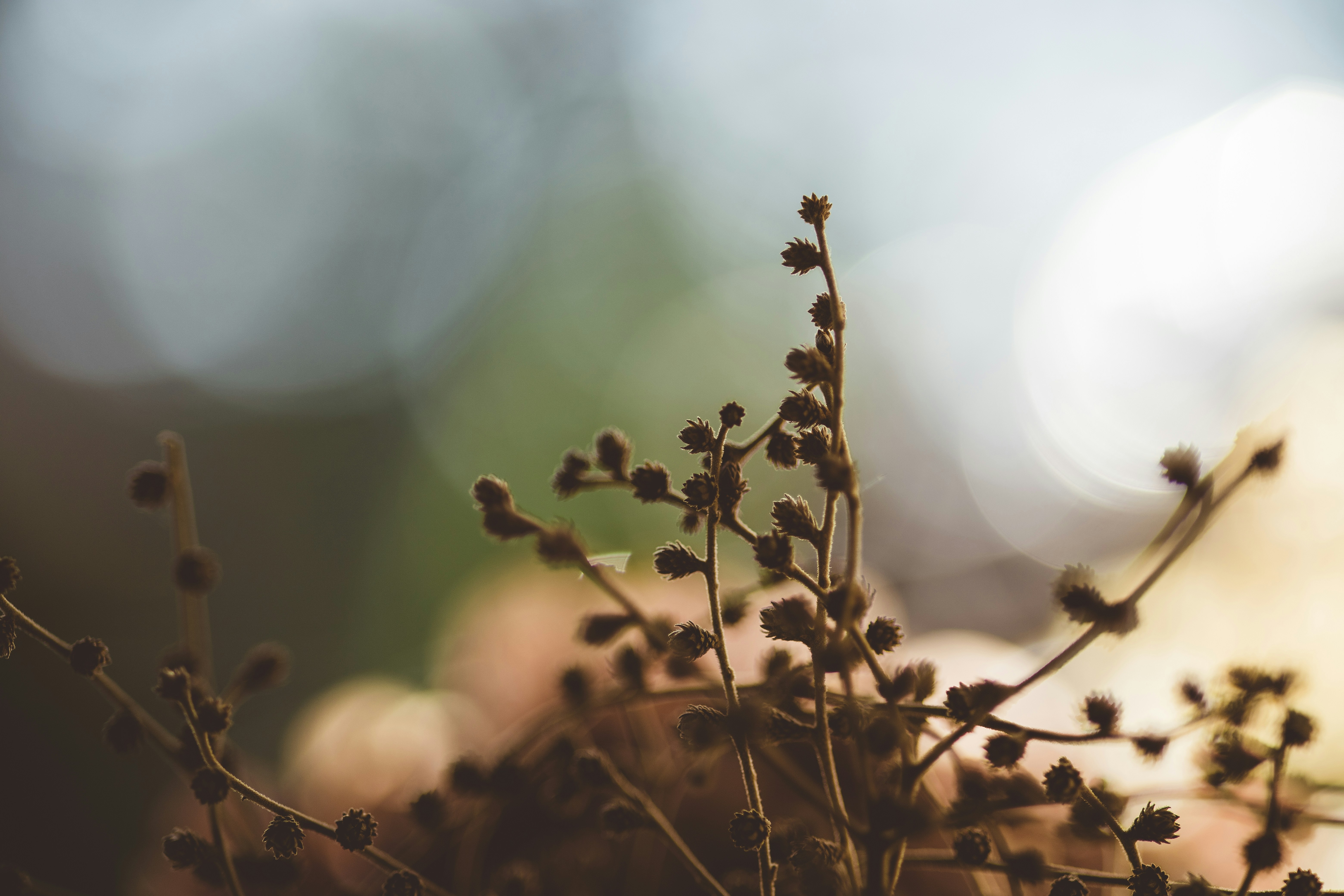 Photo by rrodriguesim