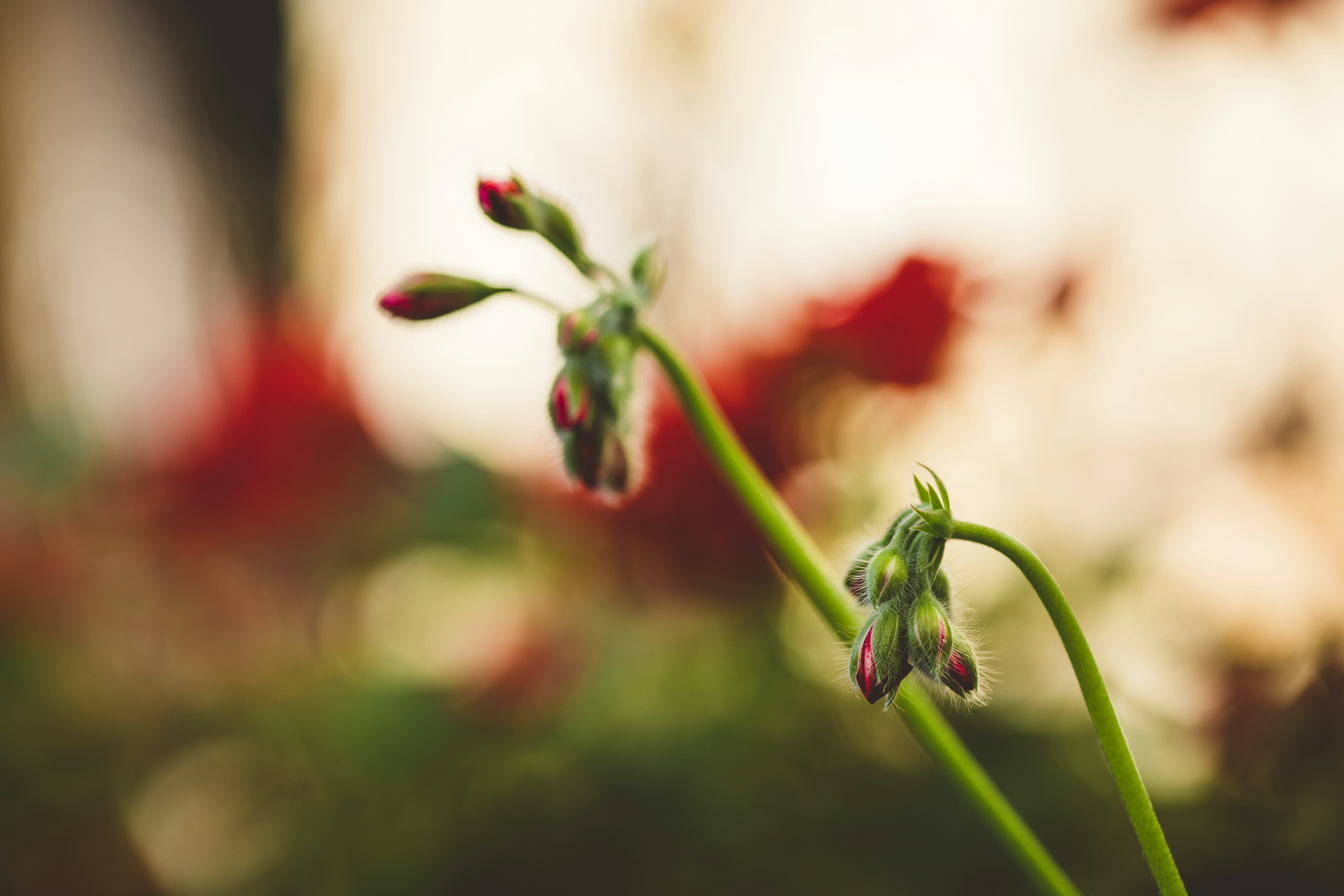 Photo by rrodriguesim