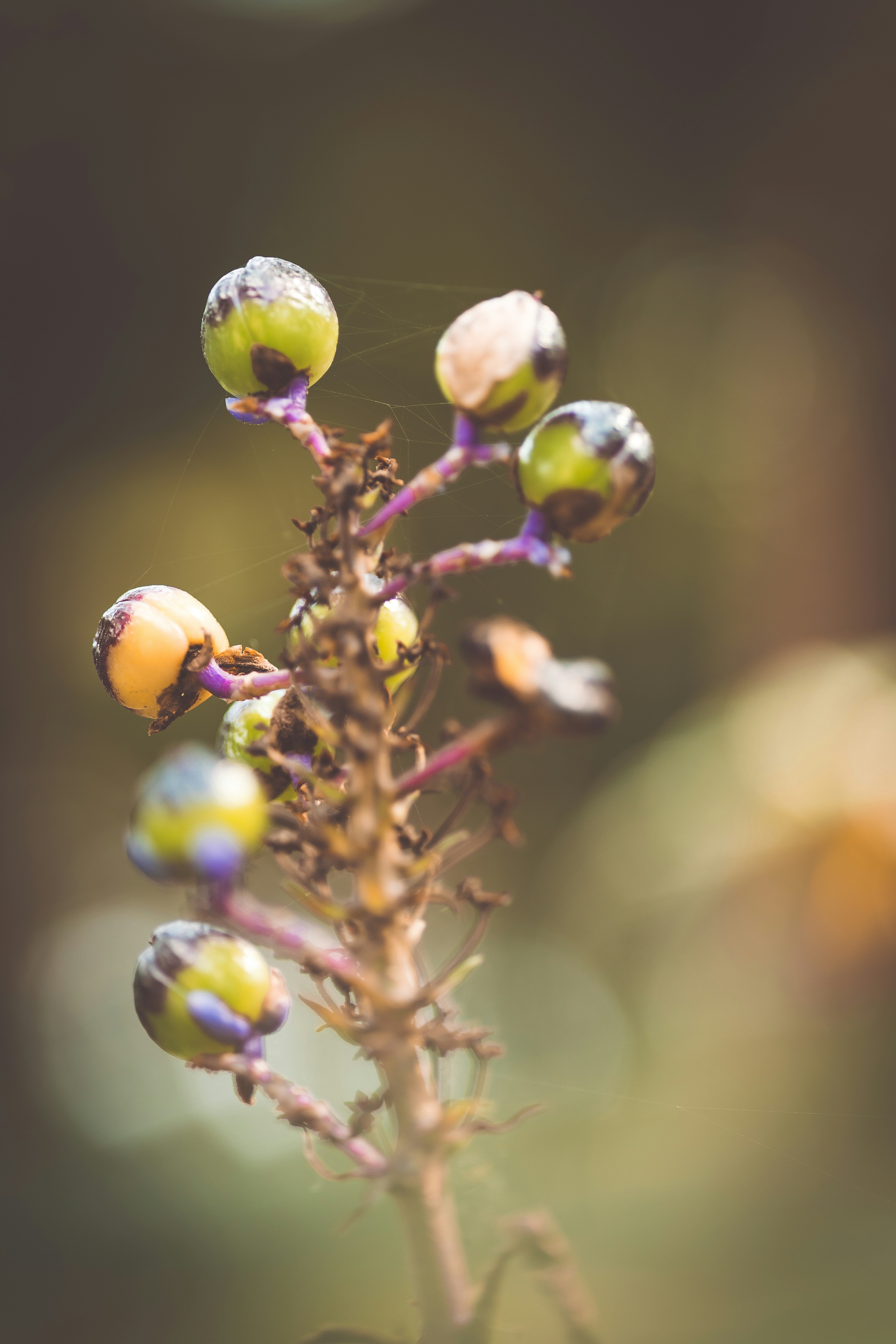 Photo by rrodriguesim