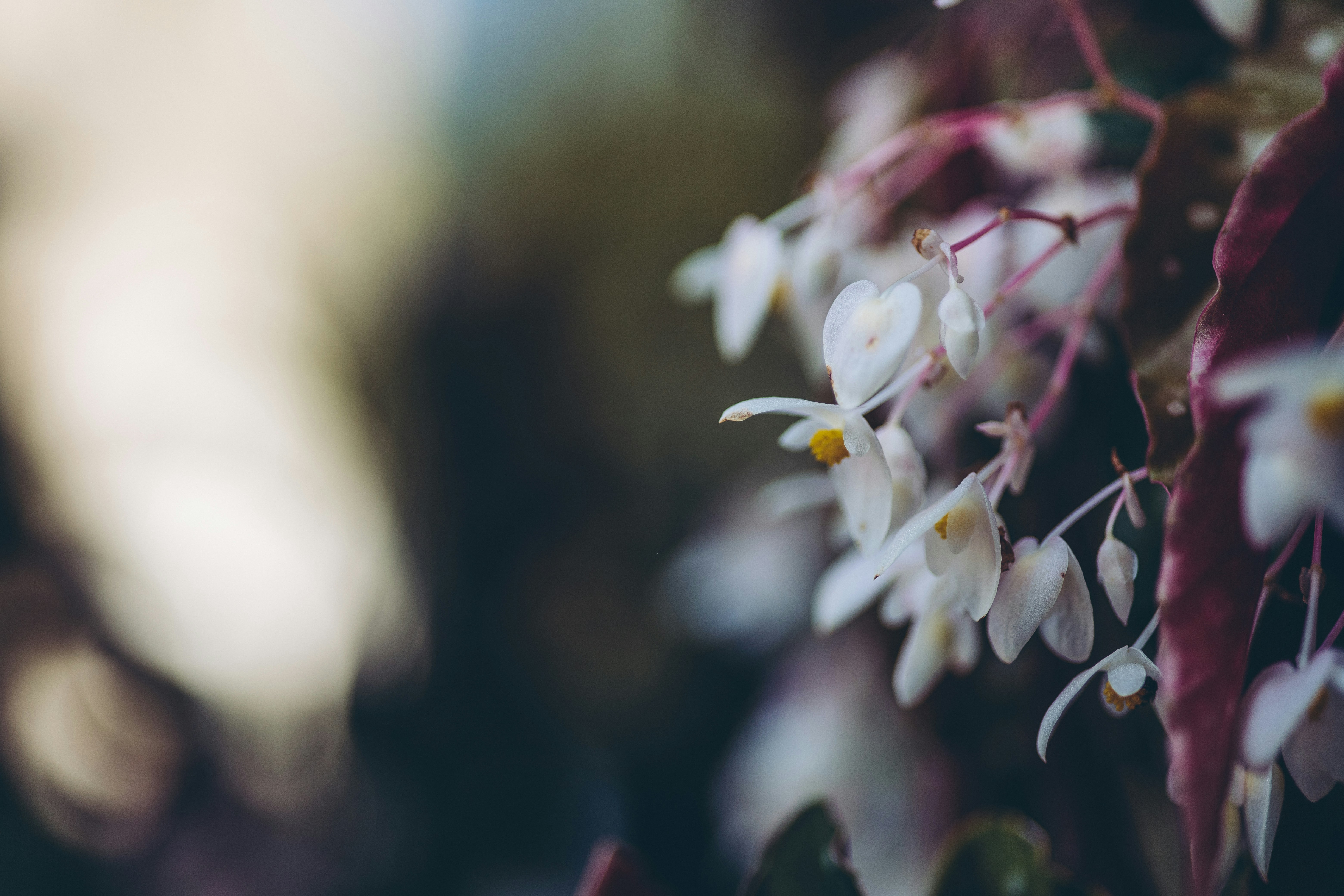 Photo by rrodriguesim