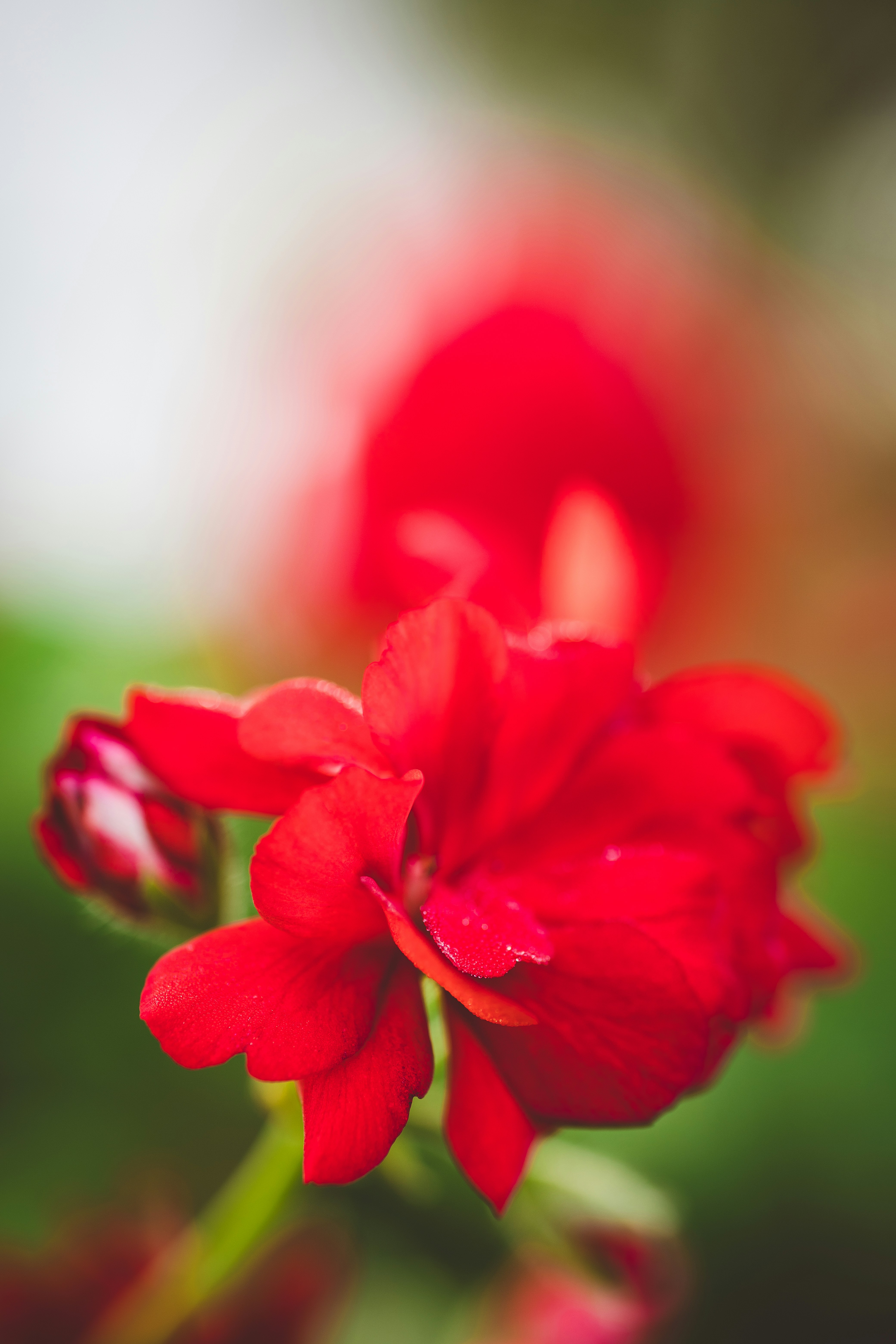 Photo by rrodriguesim