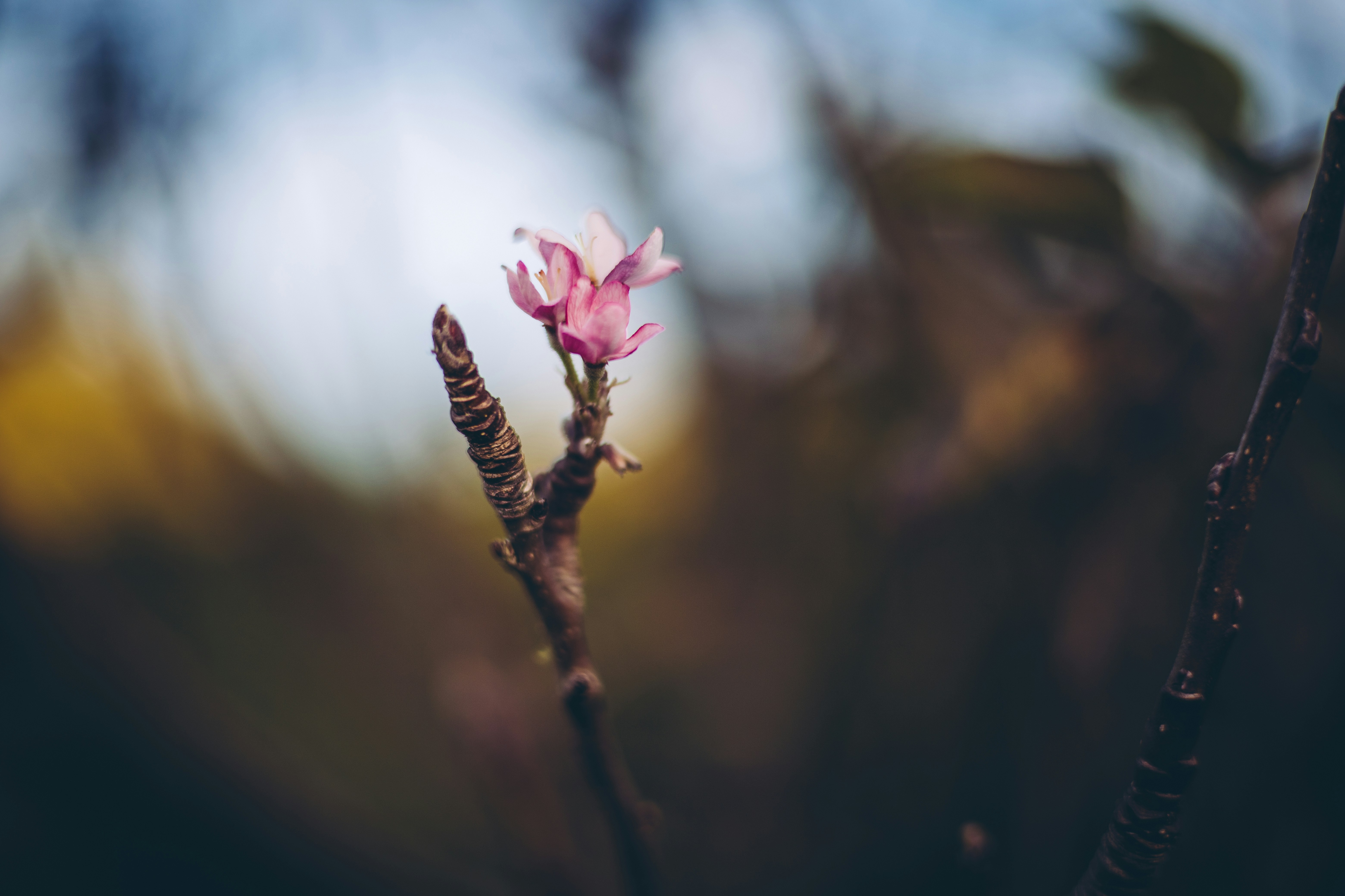 Photo by rrodriguesim