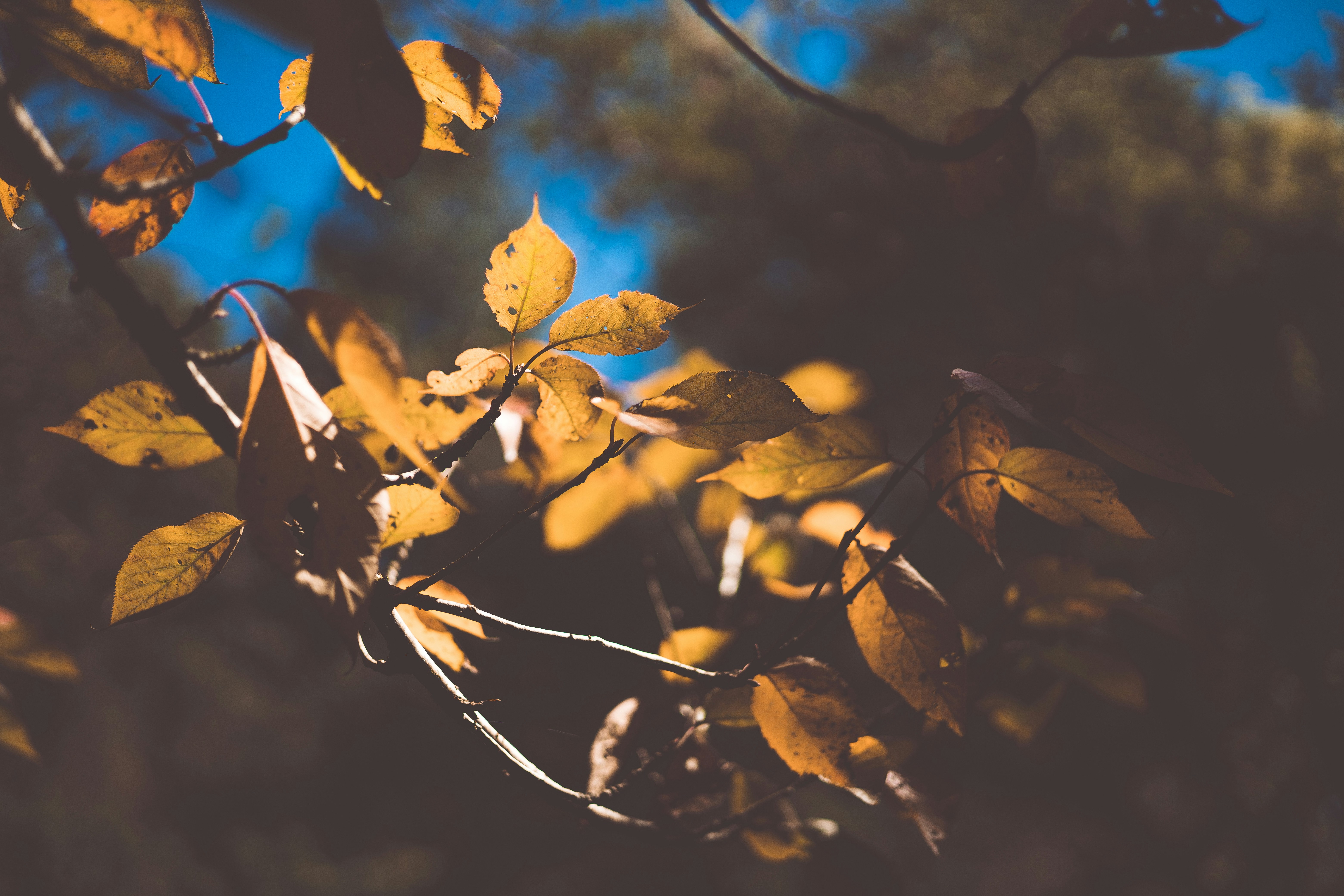 Photo by rrodriguesim