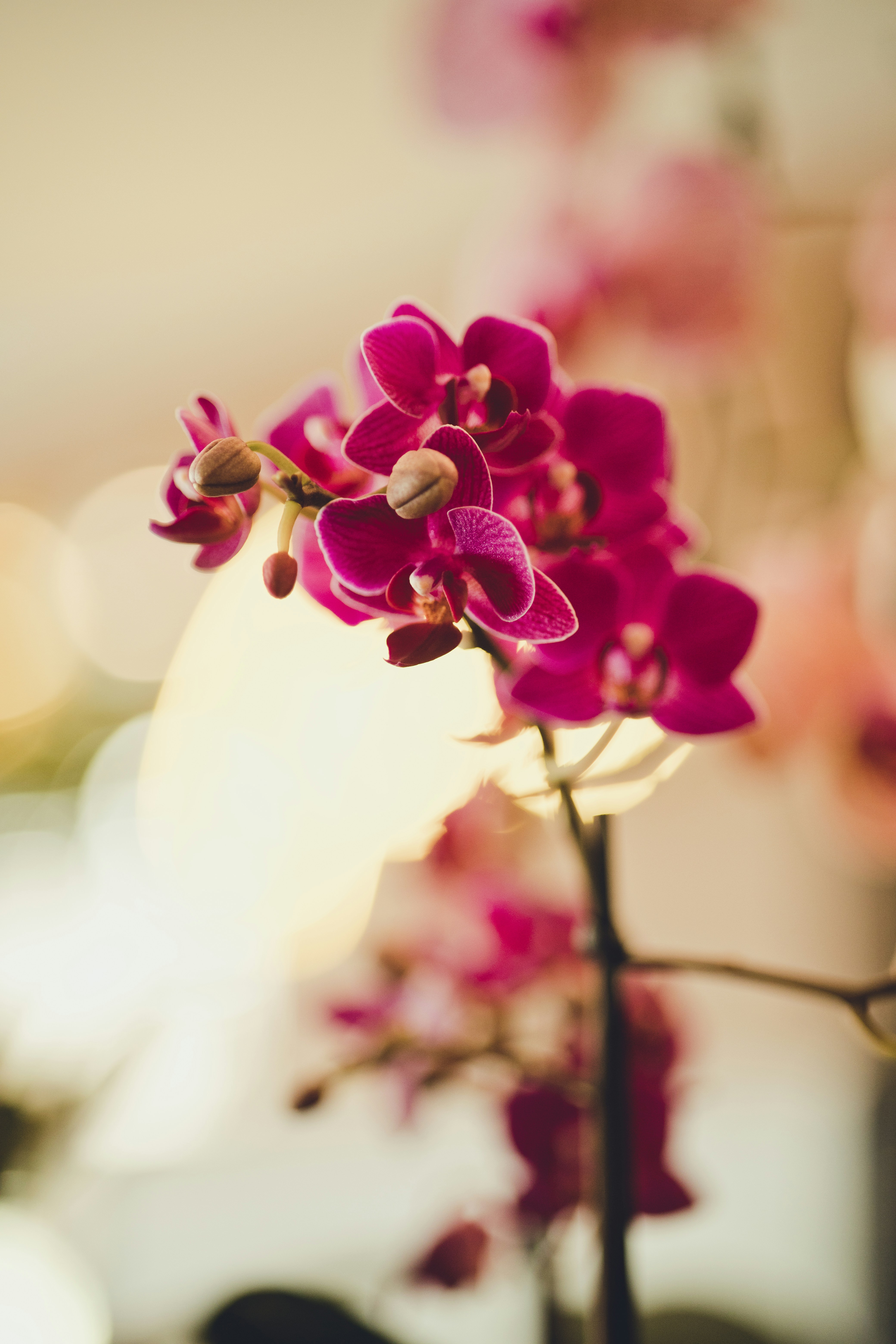 Photo by rrodriguesim