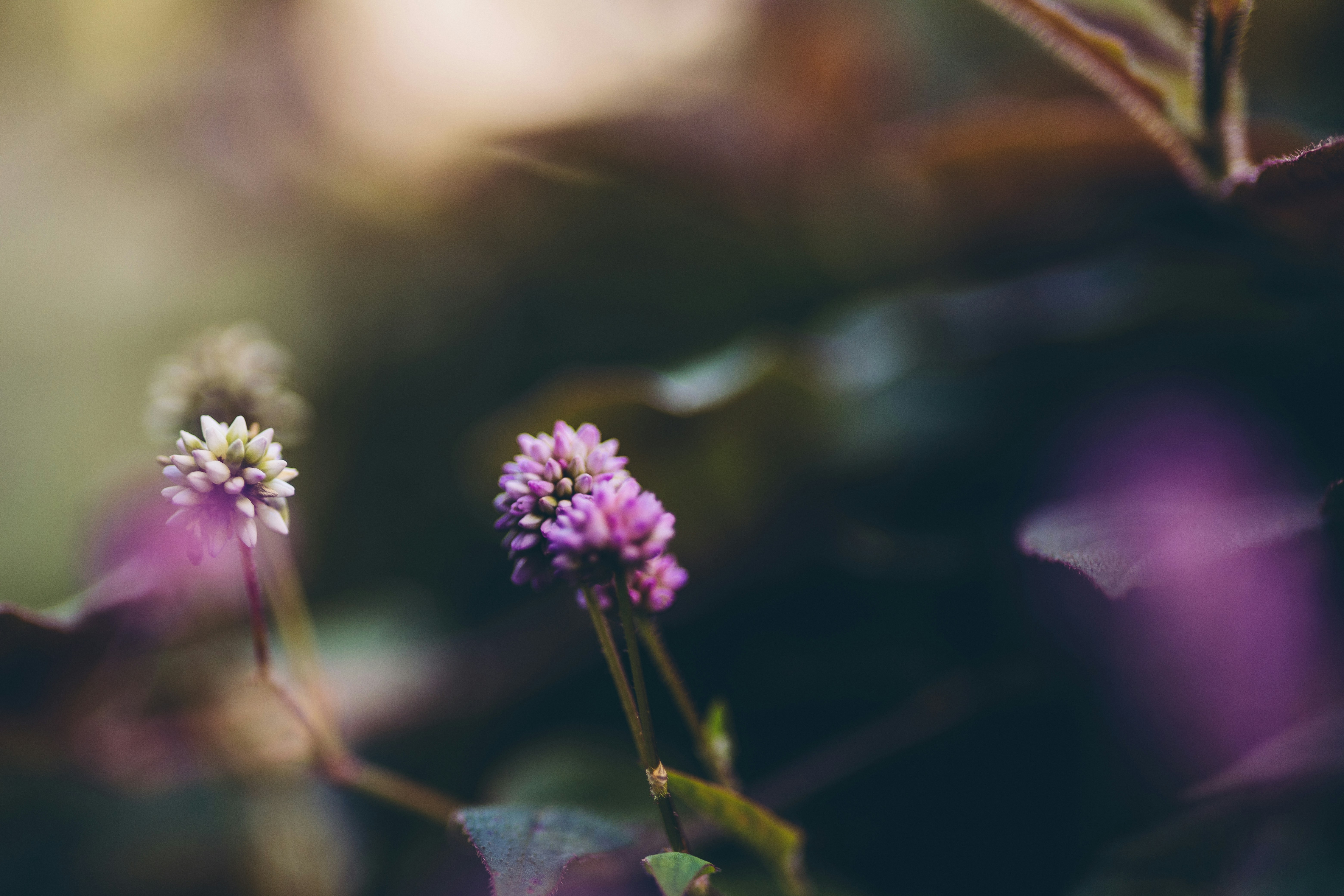 Photo by rrodriguesim