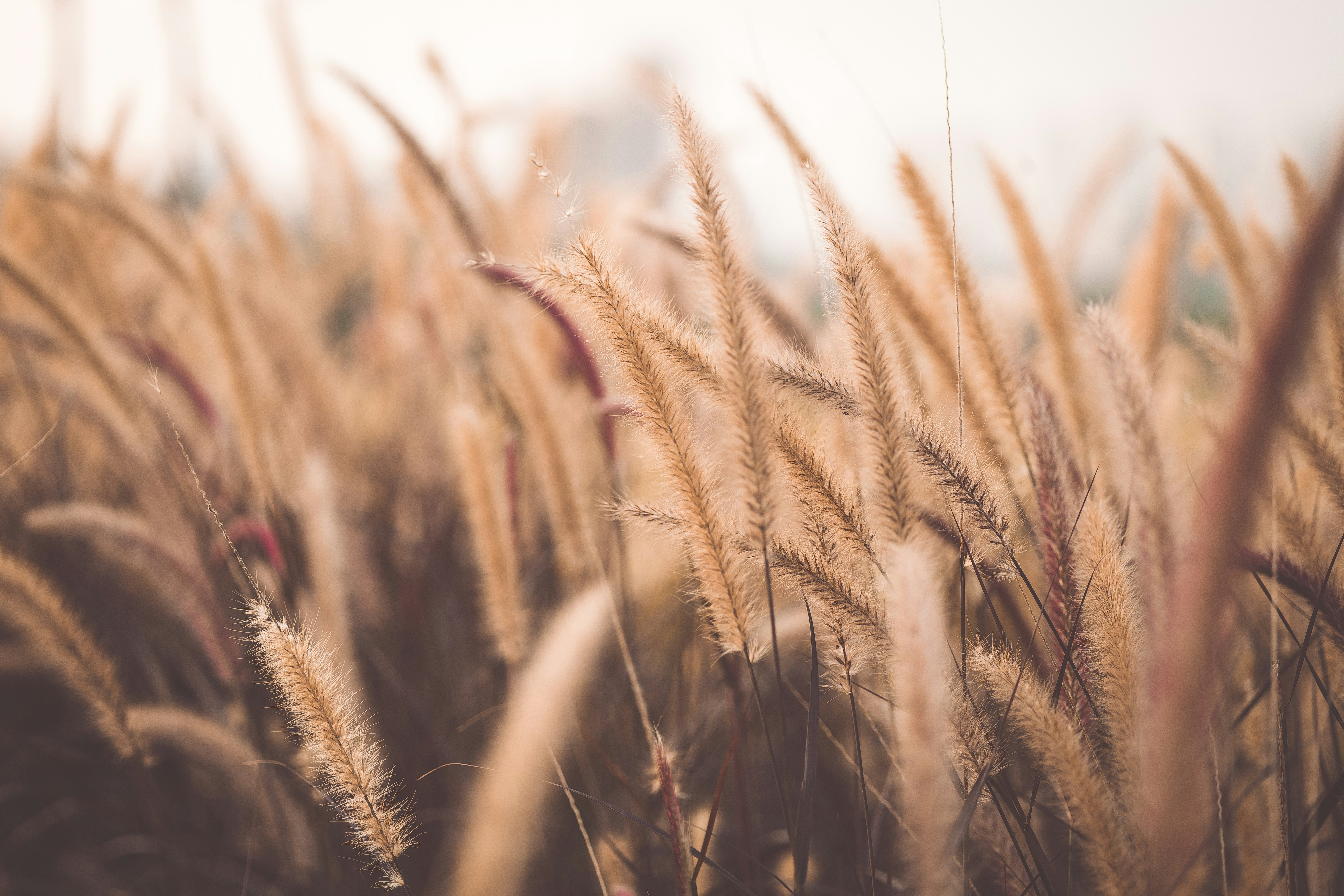 Photo by rrodriguesim