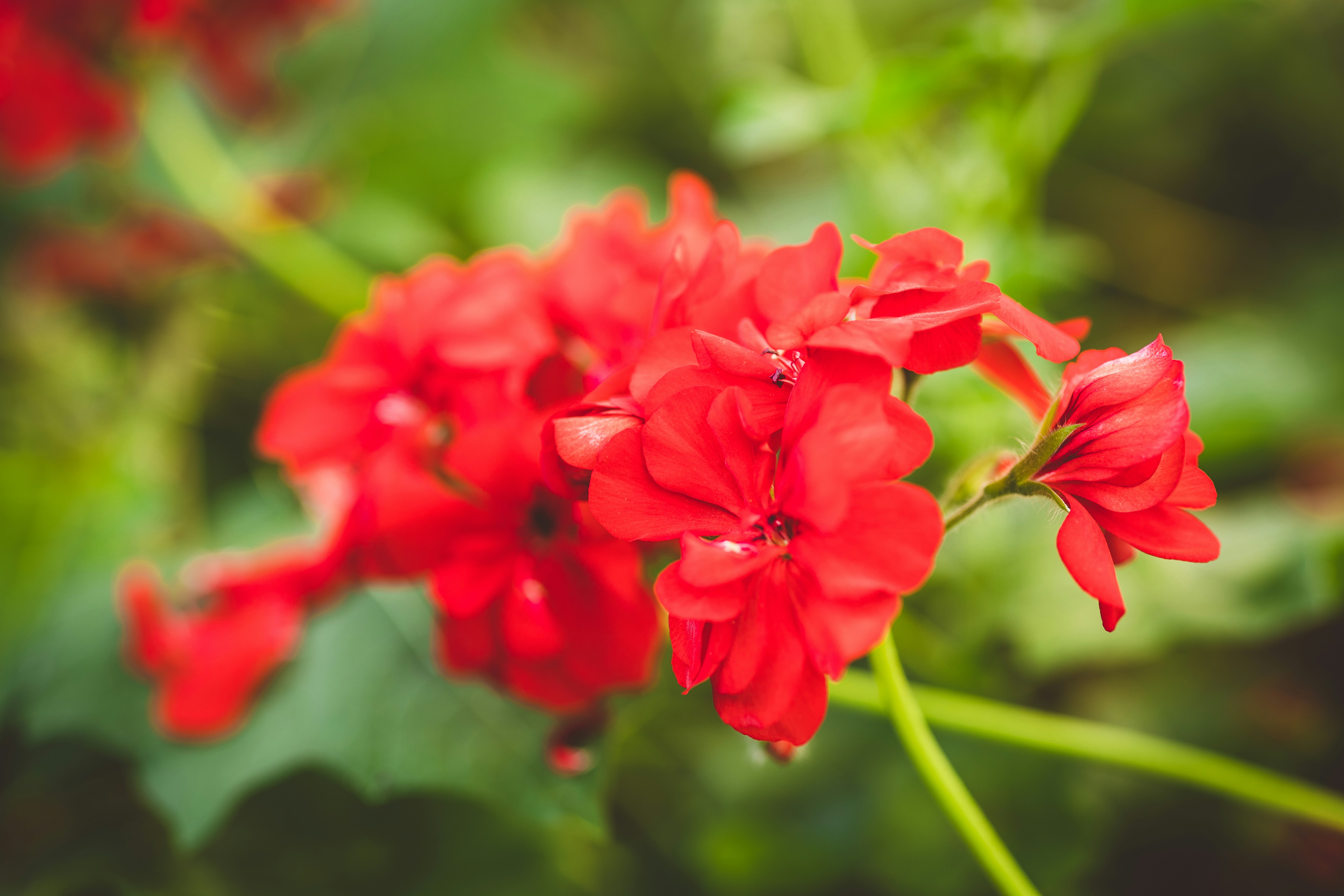 Photo by rrodriguesim