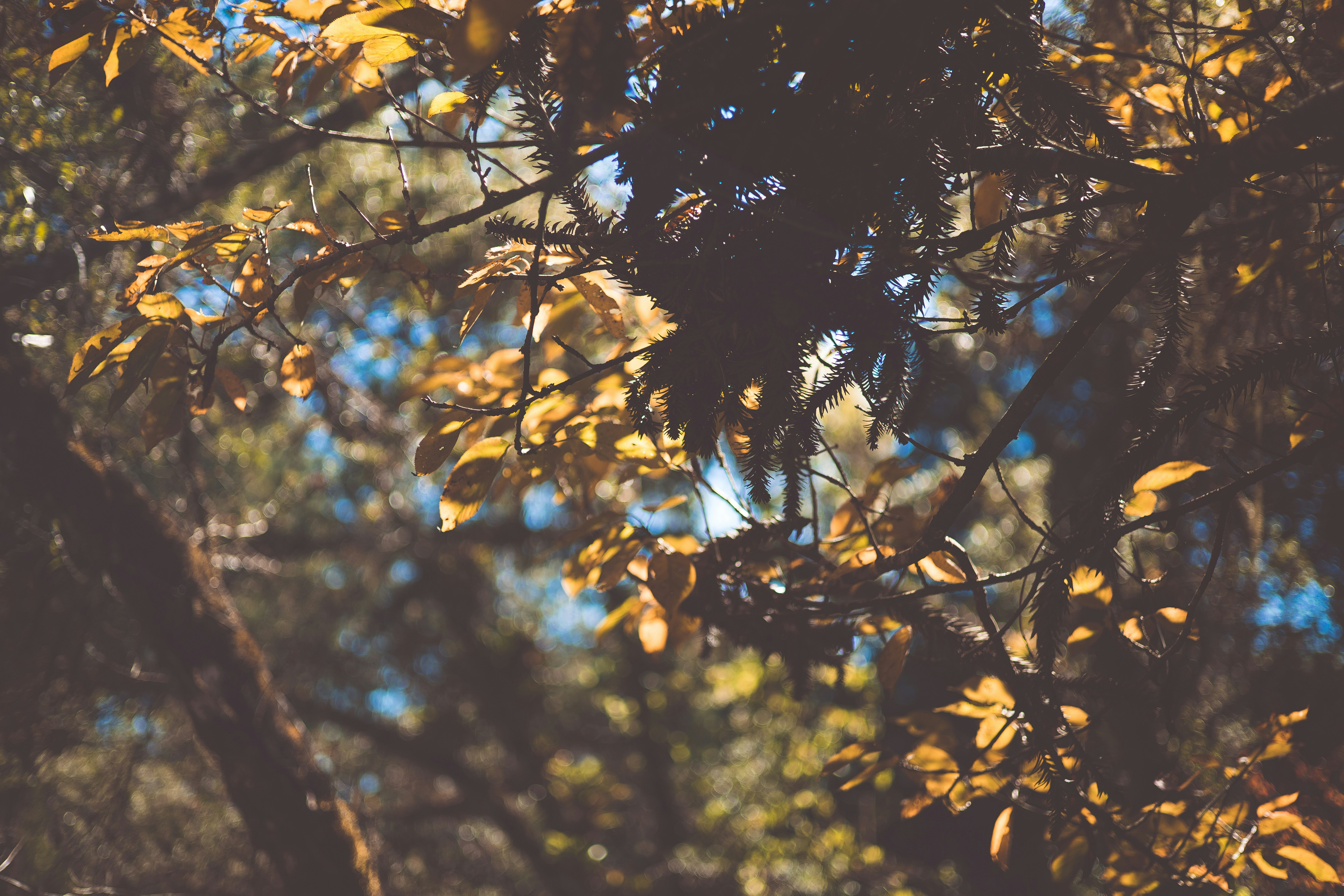 Photo by rrodriguesim