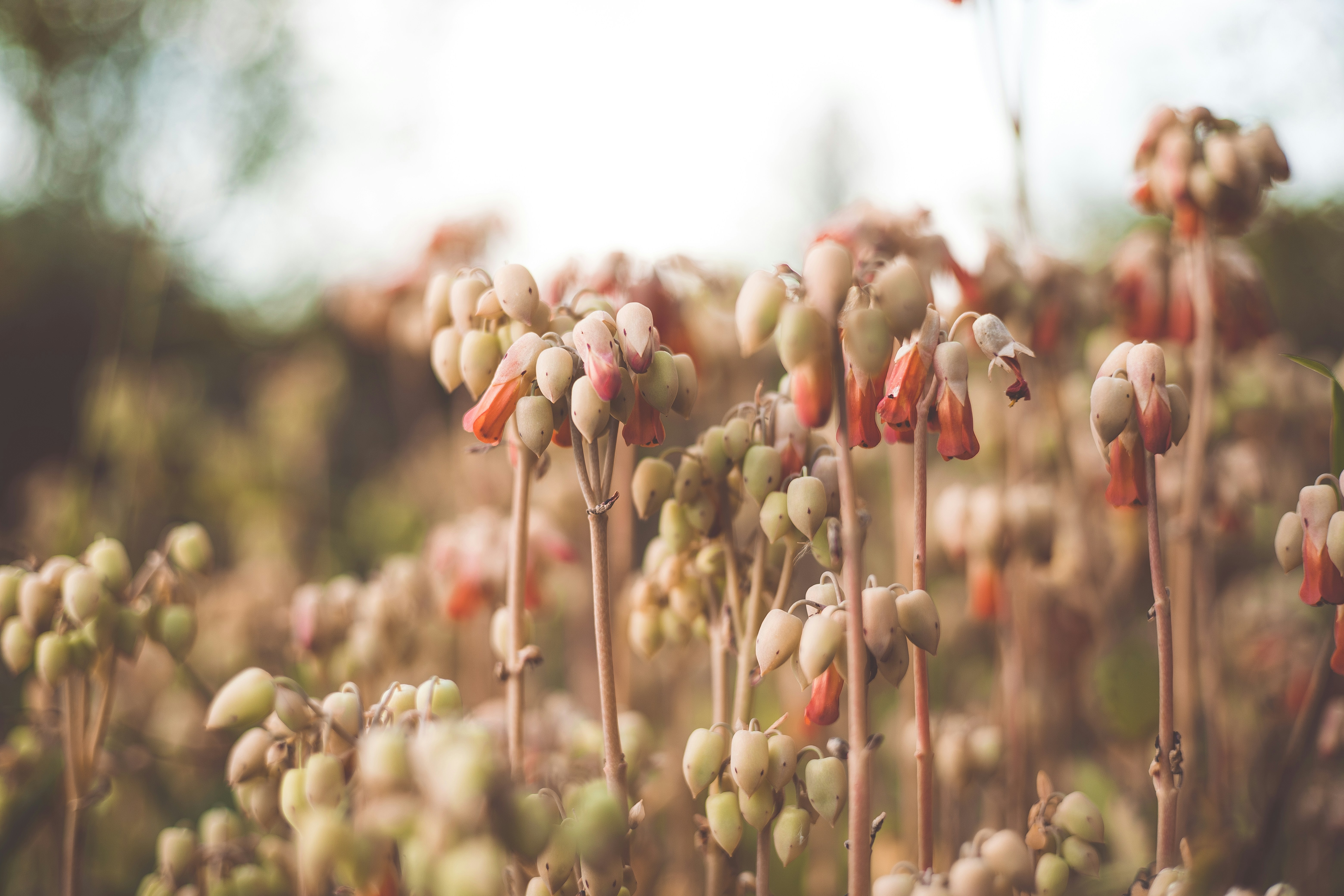 Photo by rrodriguesim