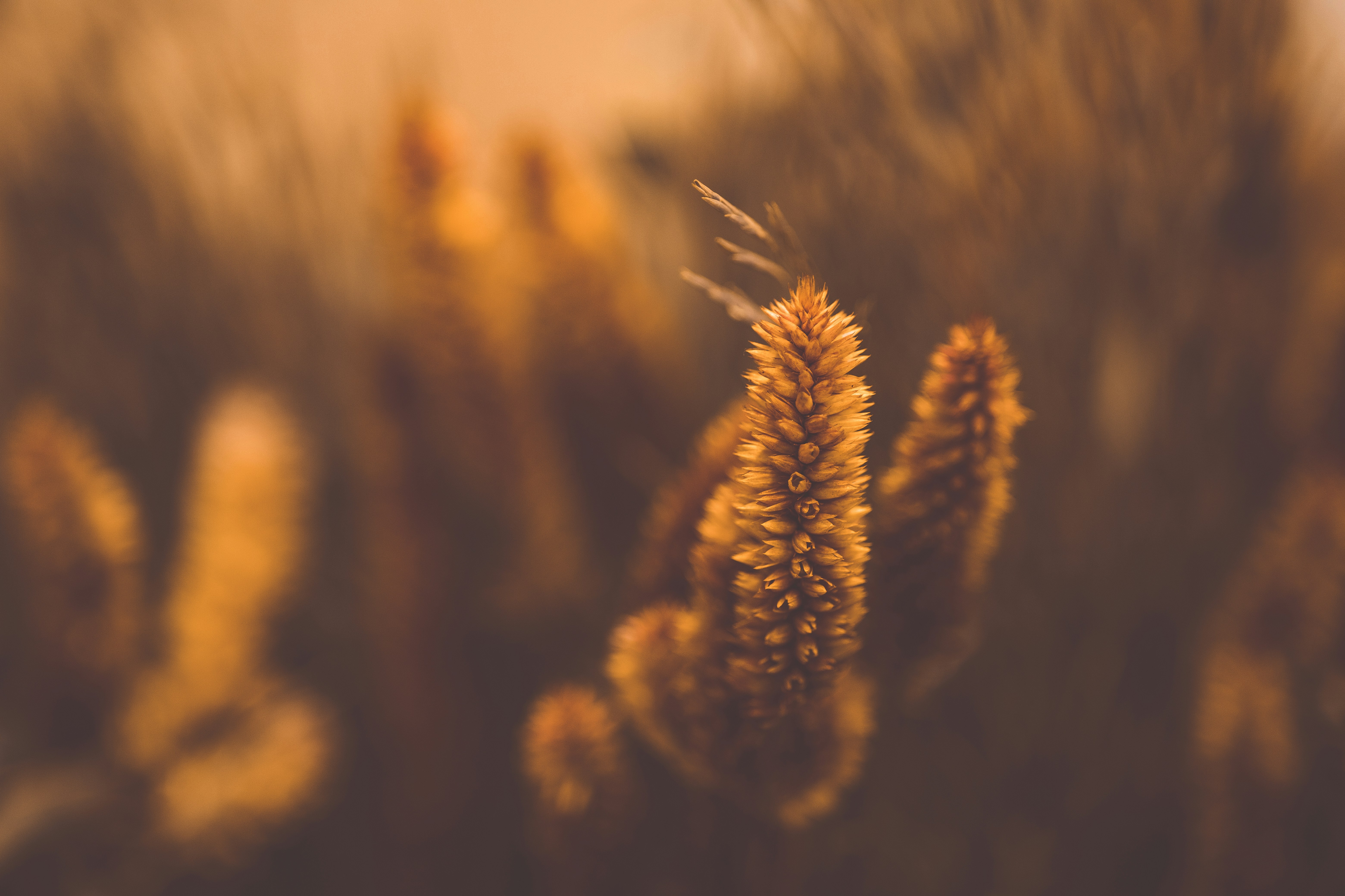 Photo by rrodriguesim