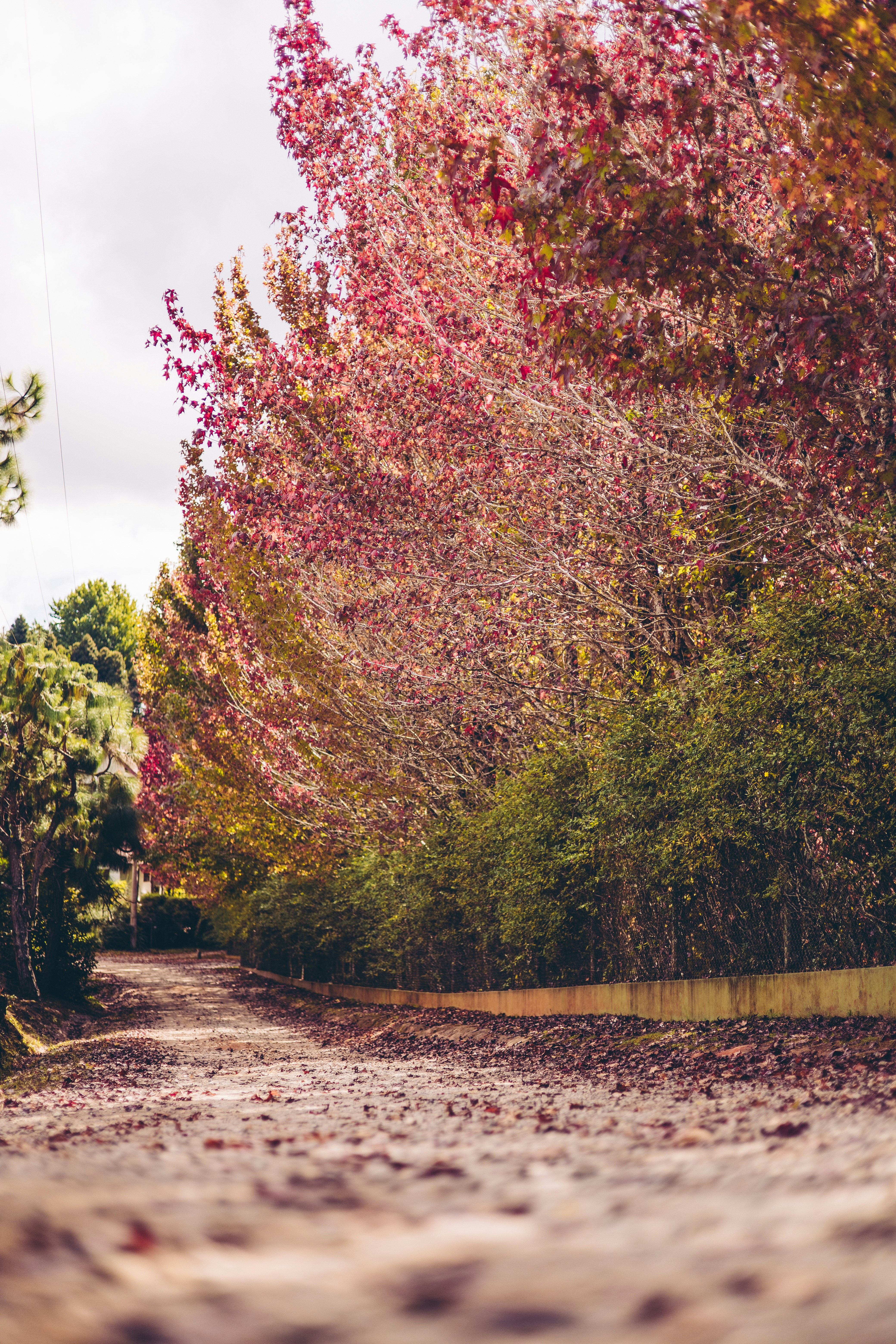 Photo by rrodriguesim