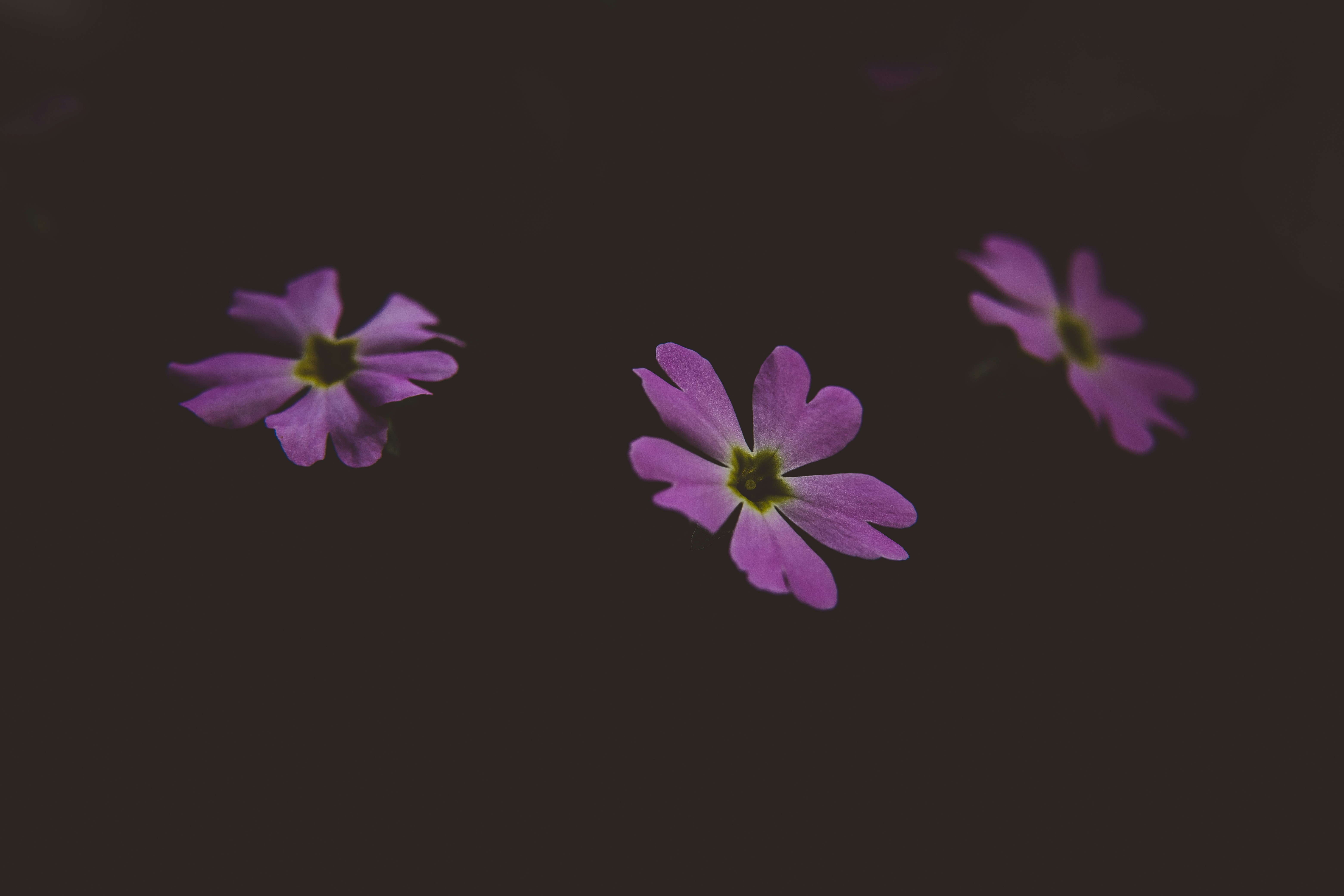 Photo by rrodriguesim