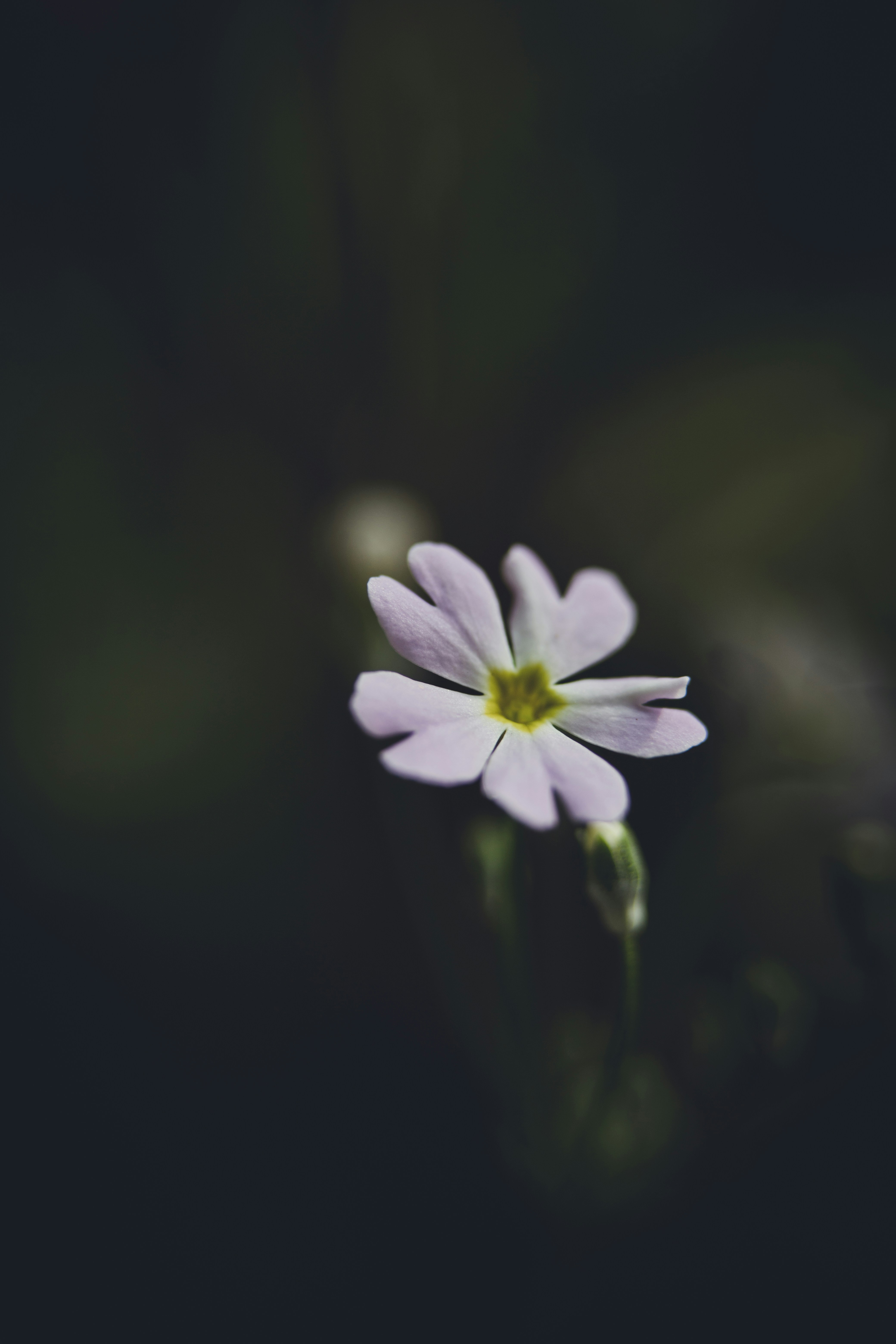 Photo by rrodriguesim