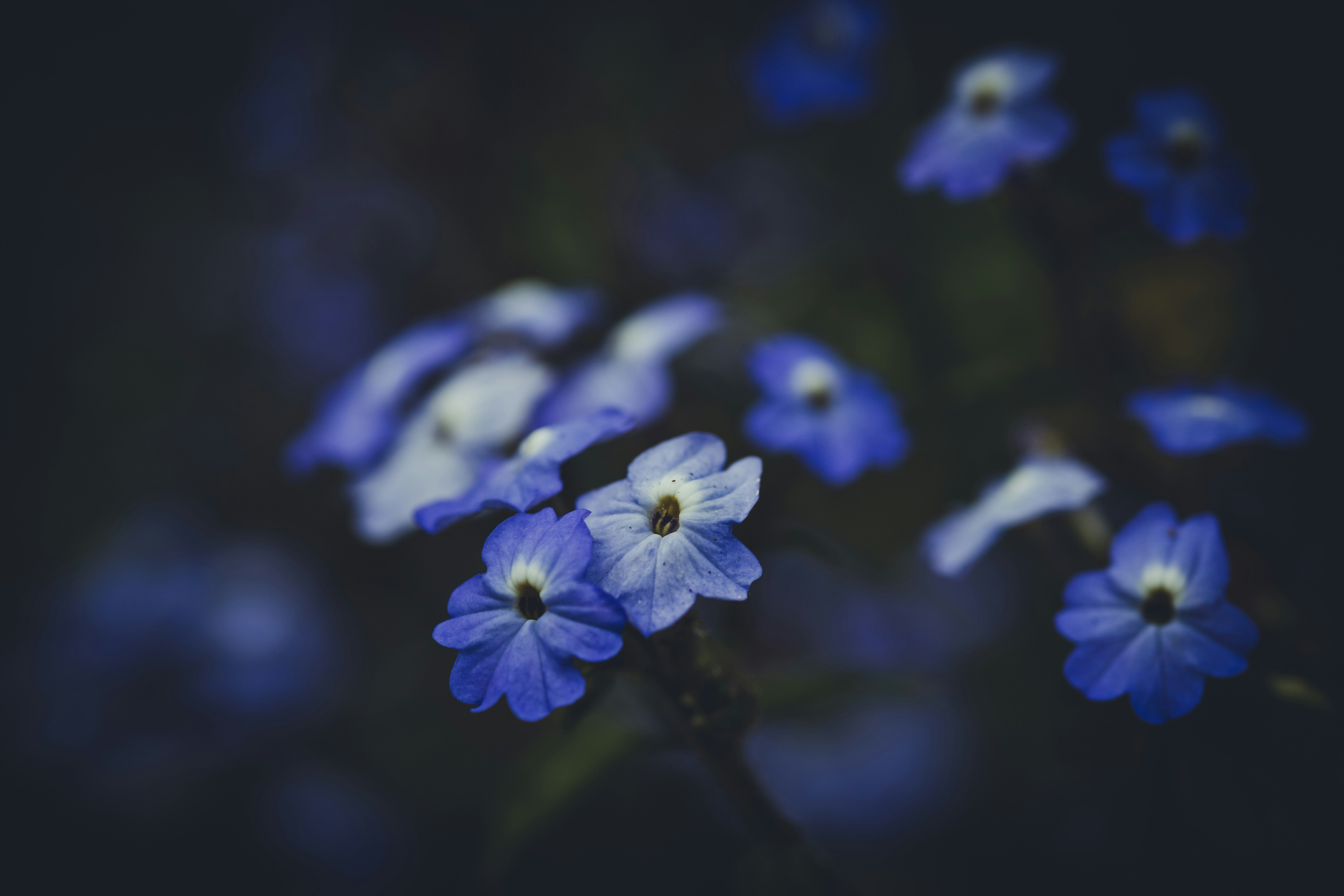 Photo by rrodriguesim