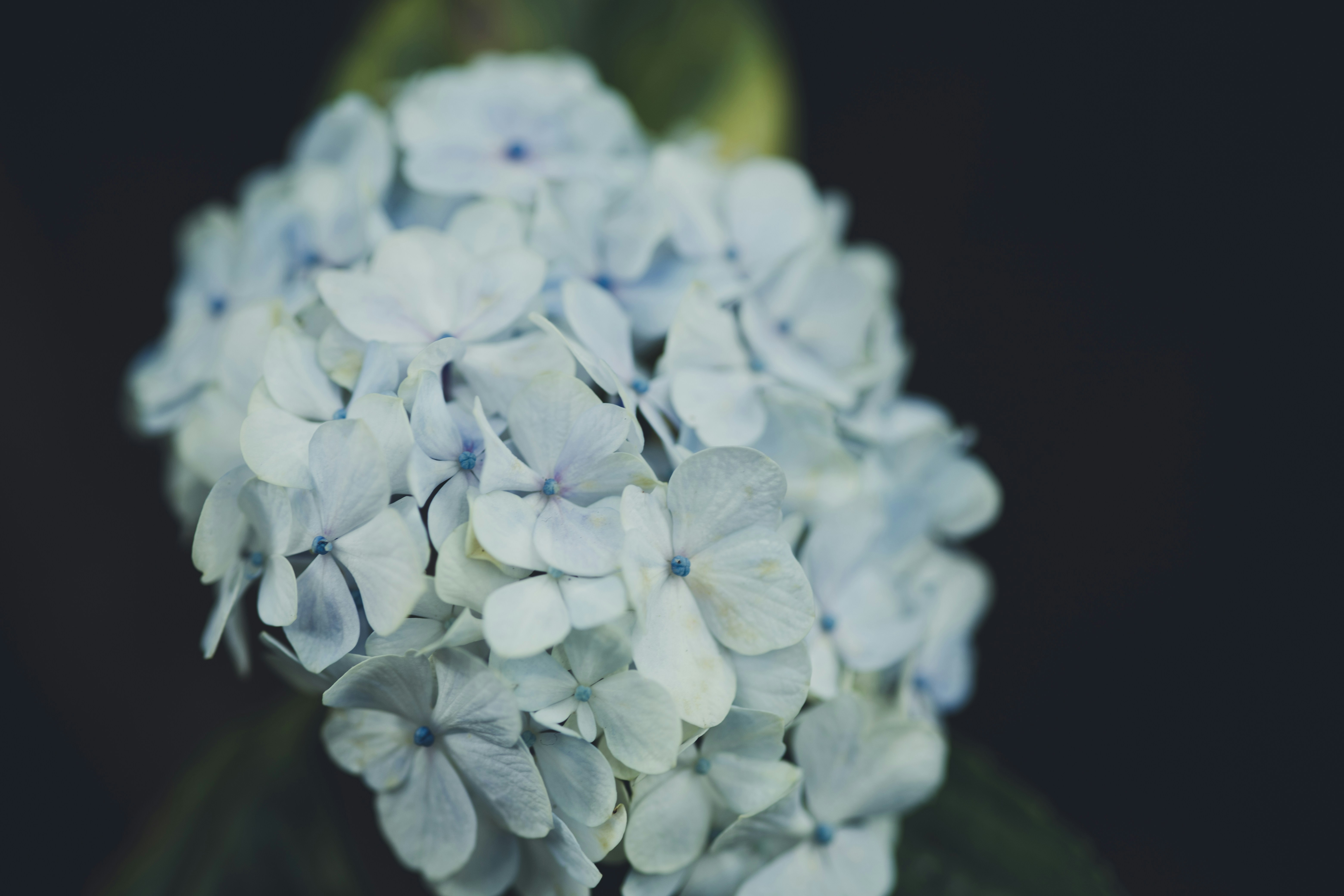 Photo by rrodriguesim