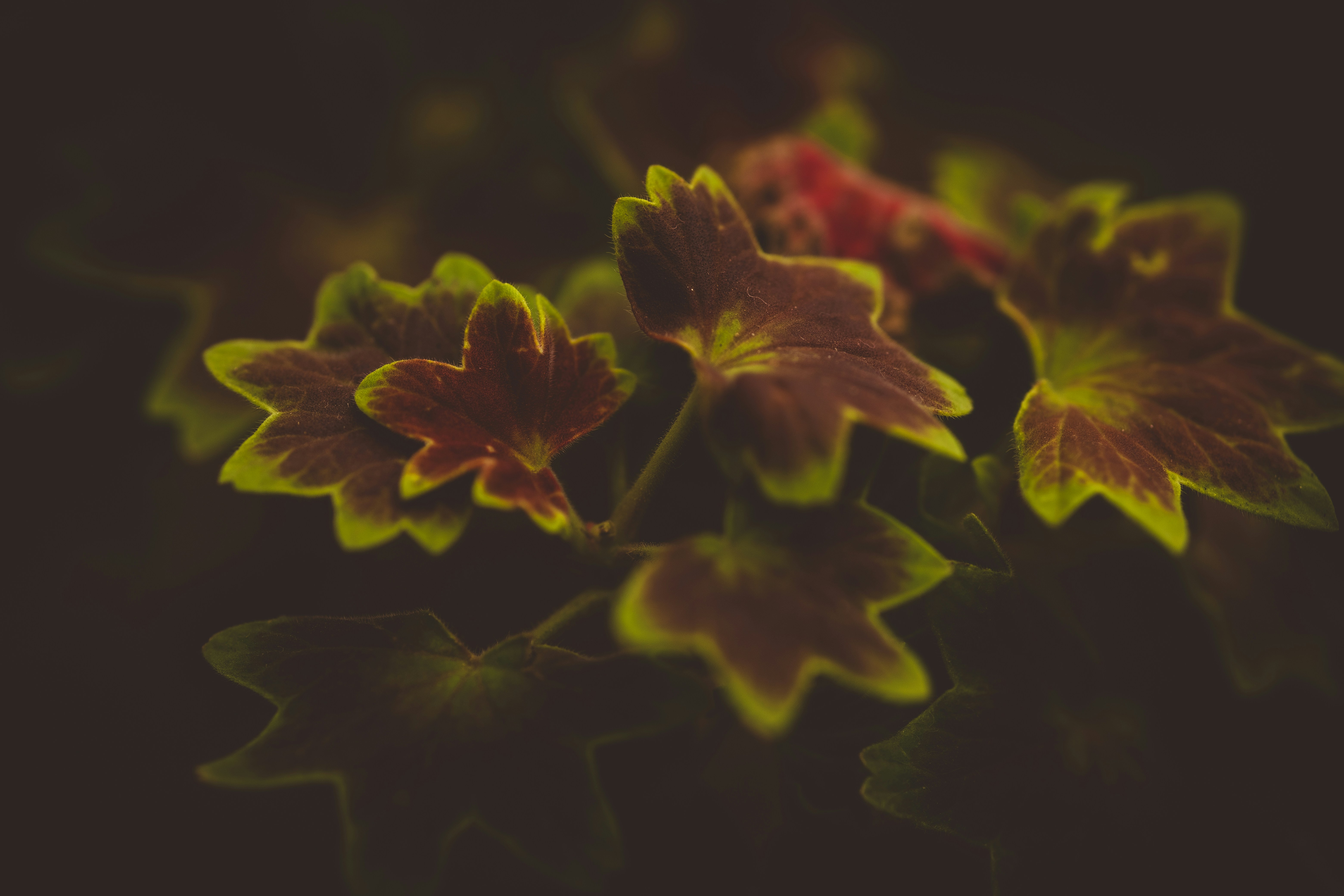 Photo by rrodriguesim